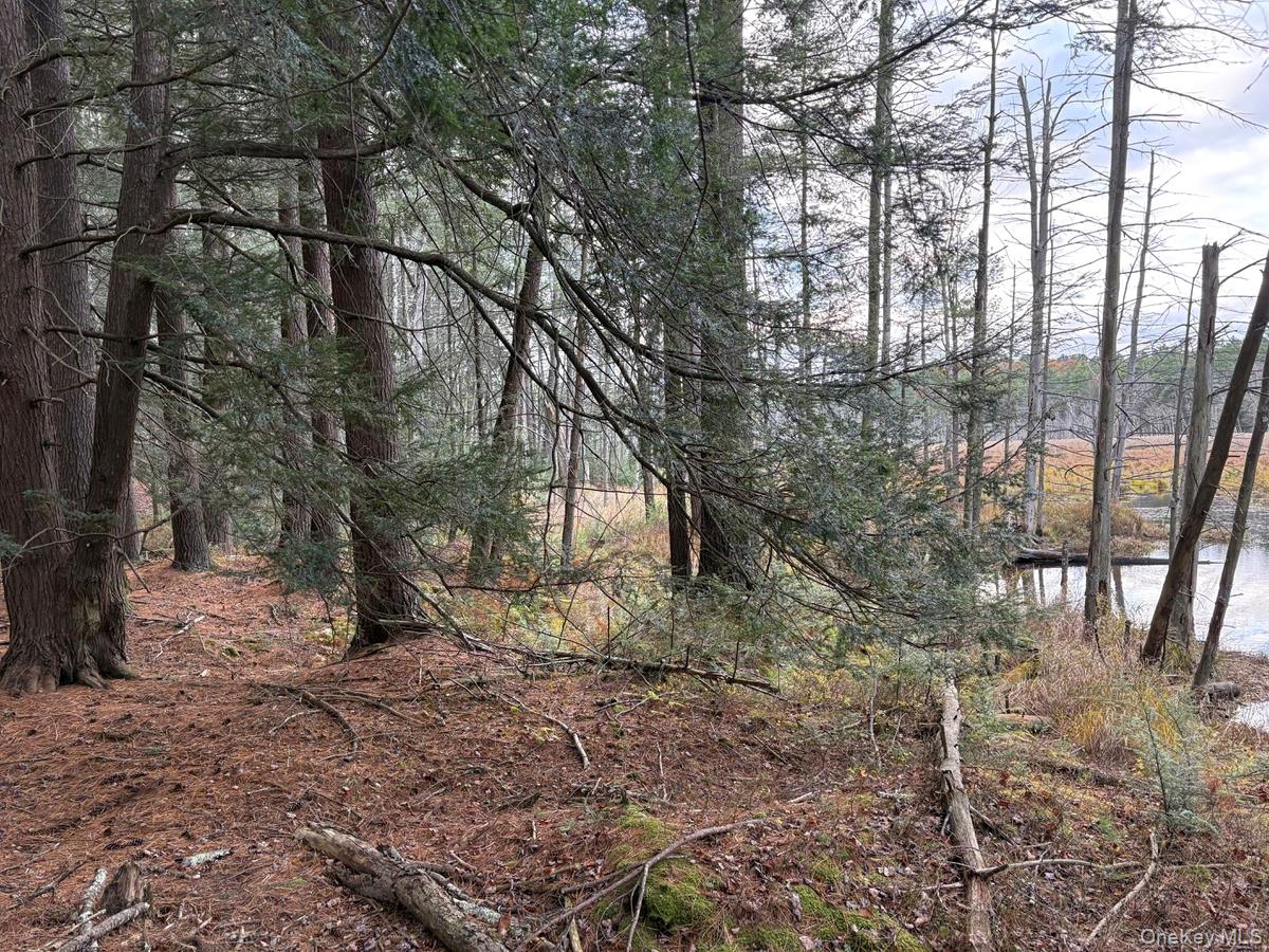 Homes for sale in Bethel, NY | 0 Puckyhuddle Rd, Bethel, NY 12720 | MLS# 933904