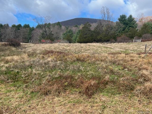 5th image of 244 Upper Samsonville Rd, Olivebridge, NY 12461 | MLS# 936413