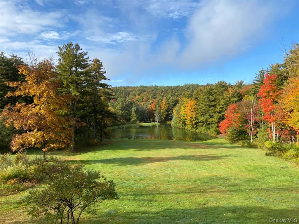 Homes for sale in Franklin, NY | 1837 Rich Rd, Franklin, NY 13820 | MLS# 948066