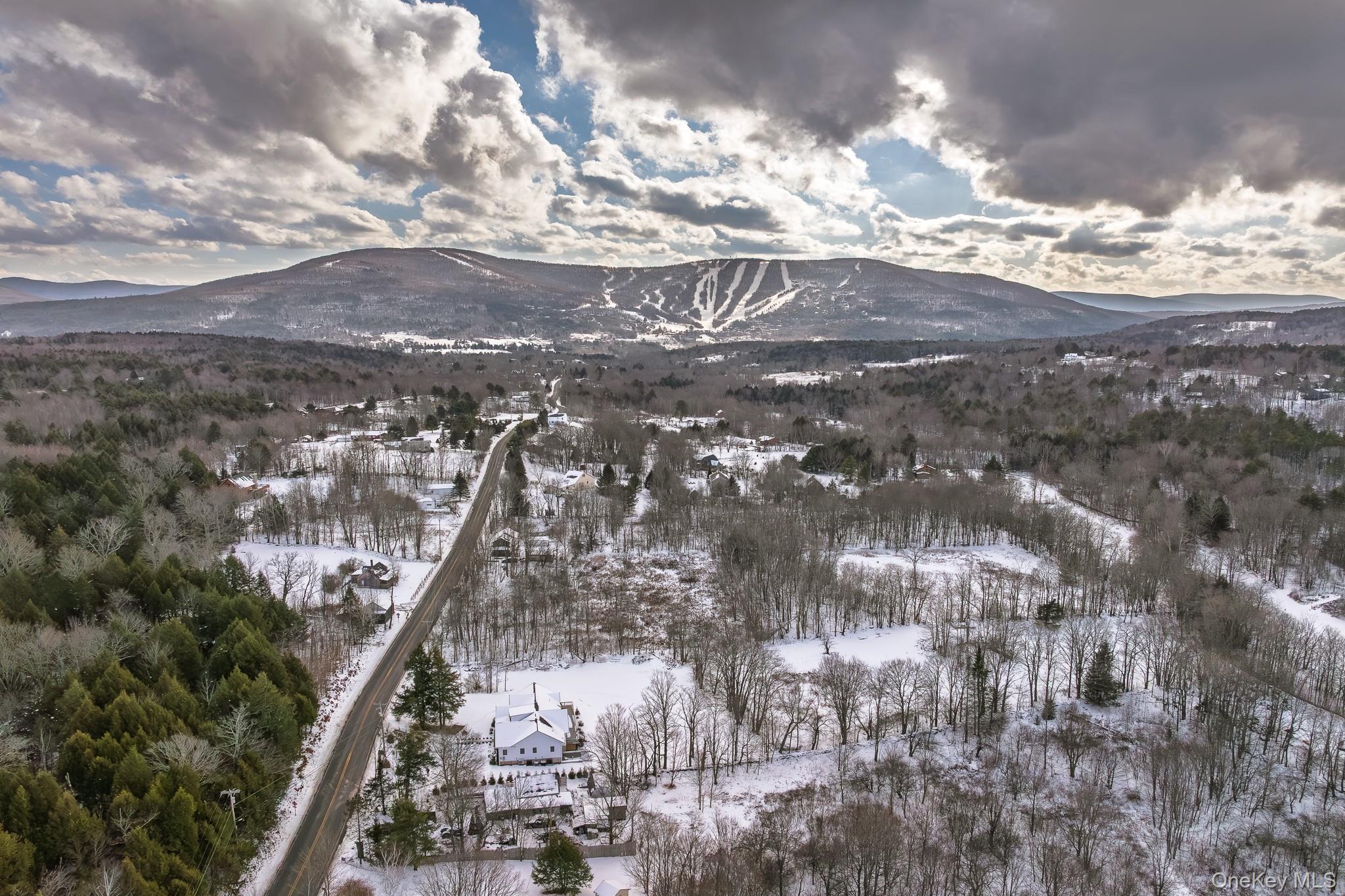 Homes for sale in Windham, NY | 305 Mitchell Hollow Rd, Windham, NY 12496 | MLS# 951166