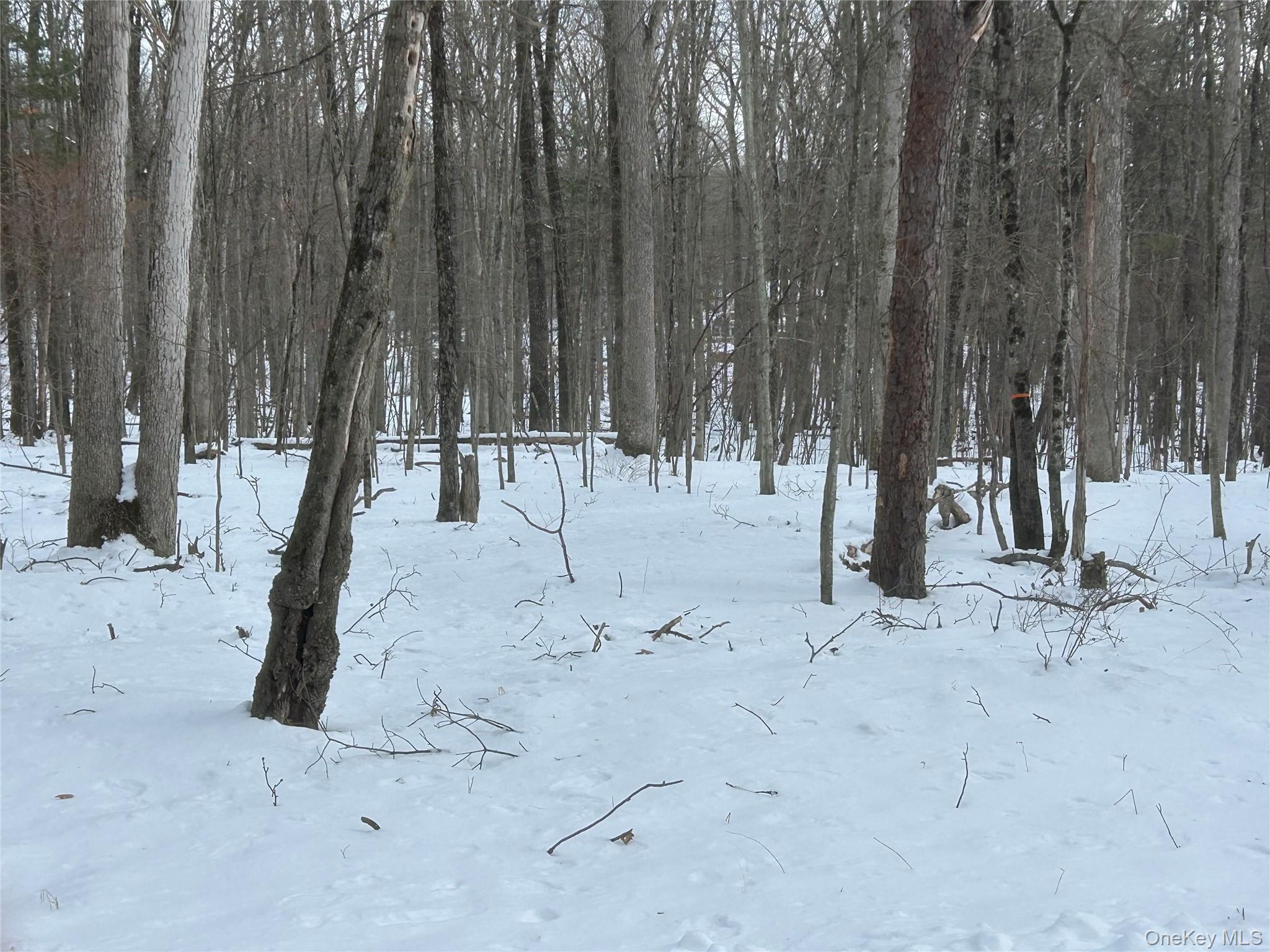 Homes for sale in Highland, NY | Purple Sage Dr, Highland, NY 12719 | MLS# 952592