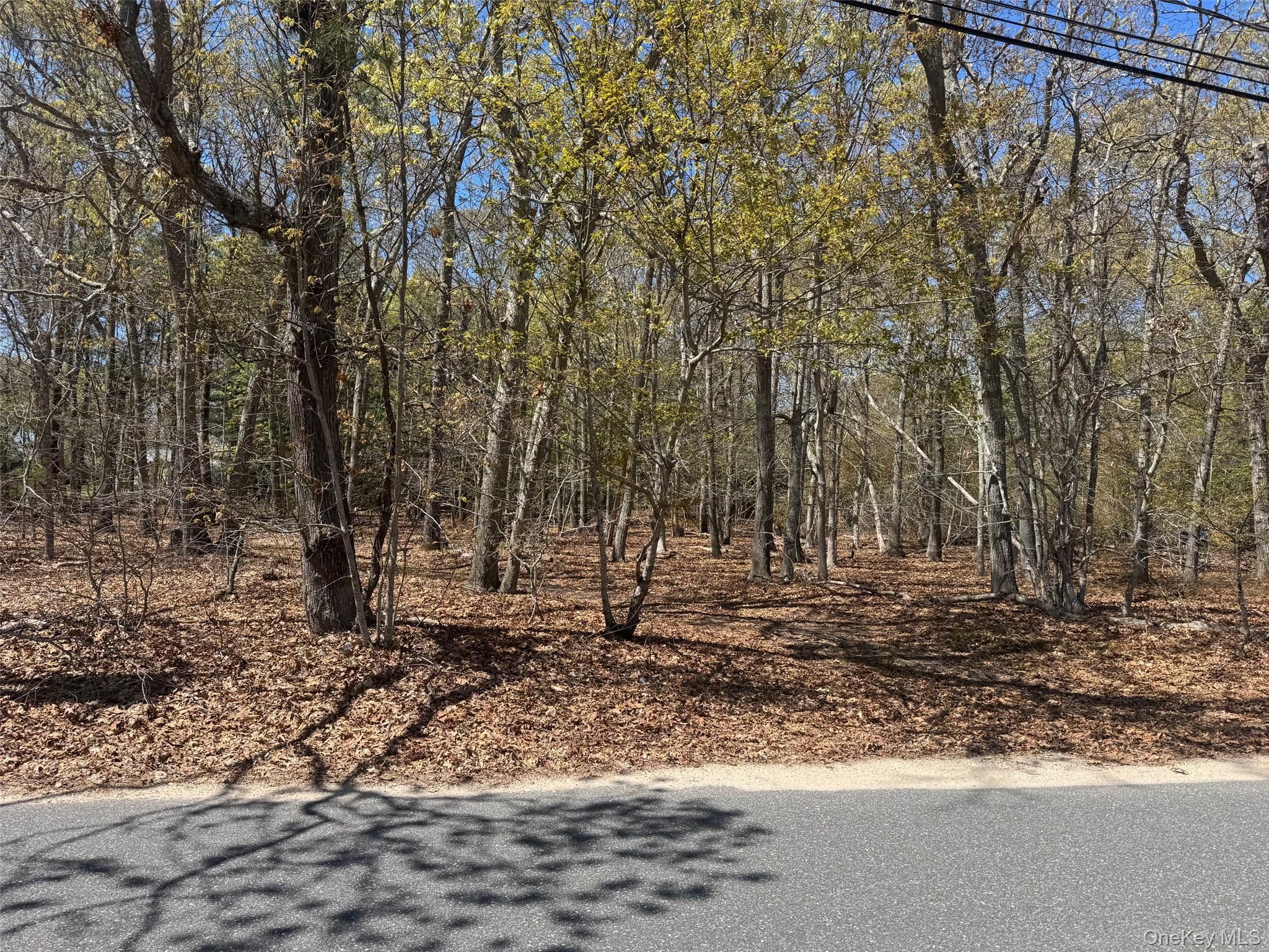 Homes for sale in Southold, NY | 725 Youngs Ave, Southold, NY 11952 | MLS# 953624