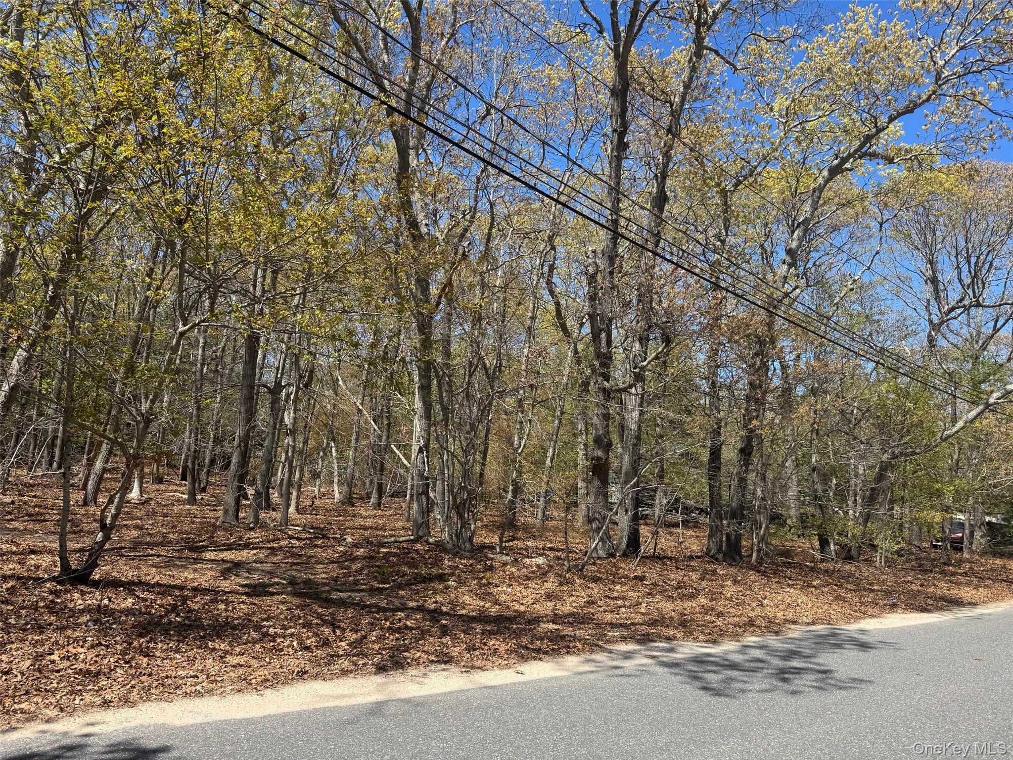 Homes for sale in Southold, NY | 725 Youngs Ave, Southold, NY 11952 | MLS# 953624