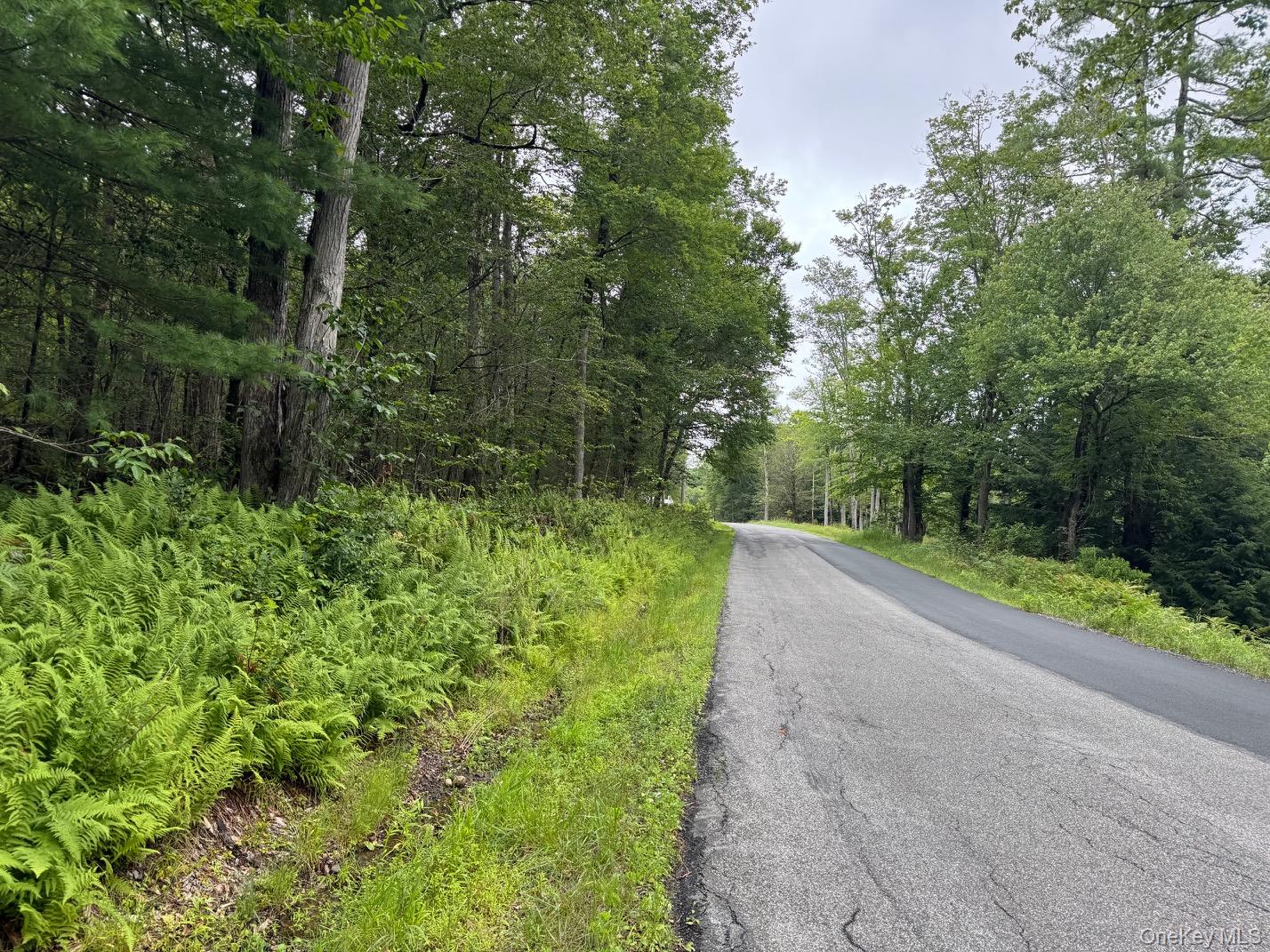 Homes for sale in Thompson, NY | 00 Starlight Rd, Thompson, NY 12701 | MLS# 953999