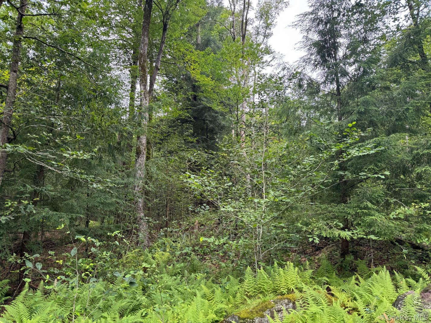 Homes for sale in Thompson, NY | 00 Starlight Rd, Thompson, NY 12701 | MLS# 953999