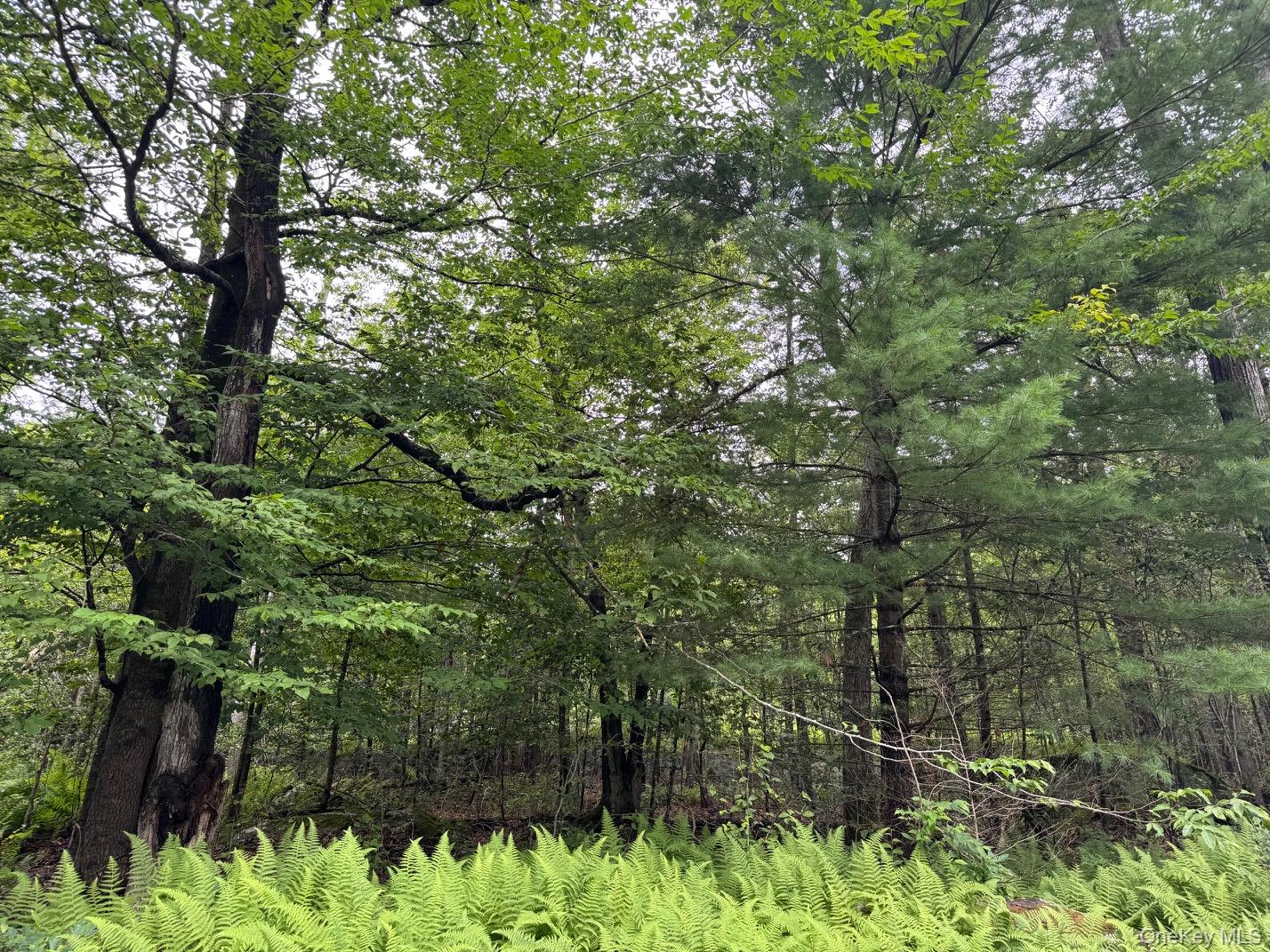 Homes for sale in Thompson, NY | 00 Starlight Rd, Thompson, NY 12701 | MLS# 953999