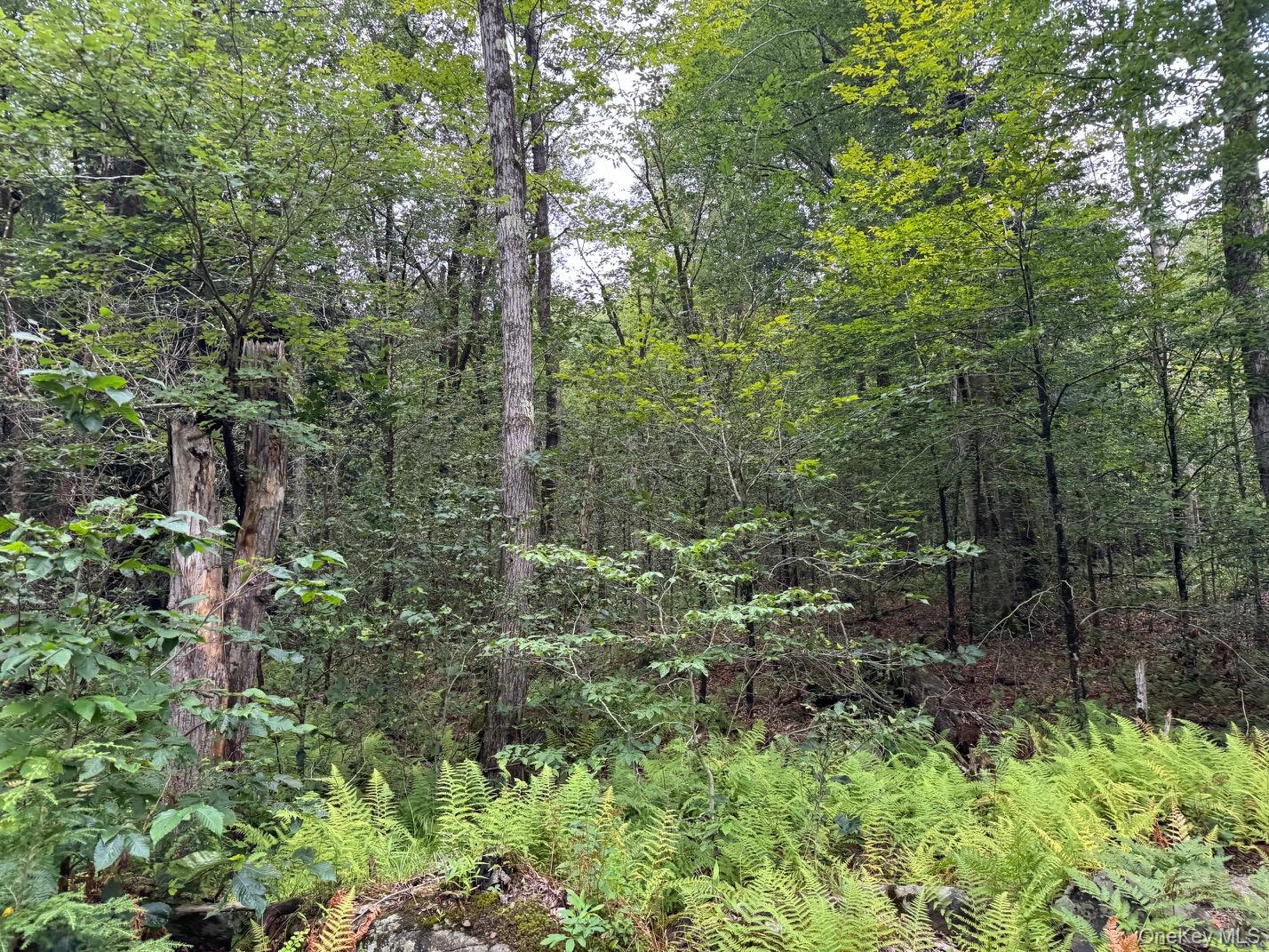 Homes for sale in Thompson, NY | 00 Starlight Rd, Thompson, NY 12701 | MLS# 953999