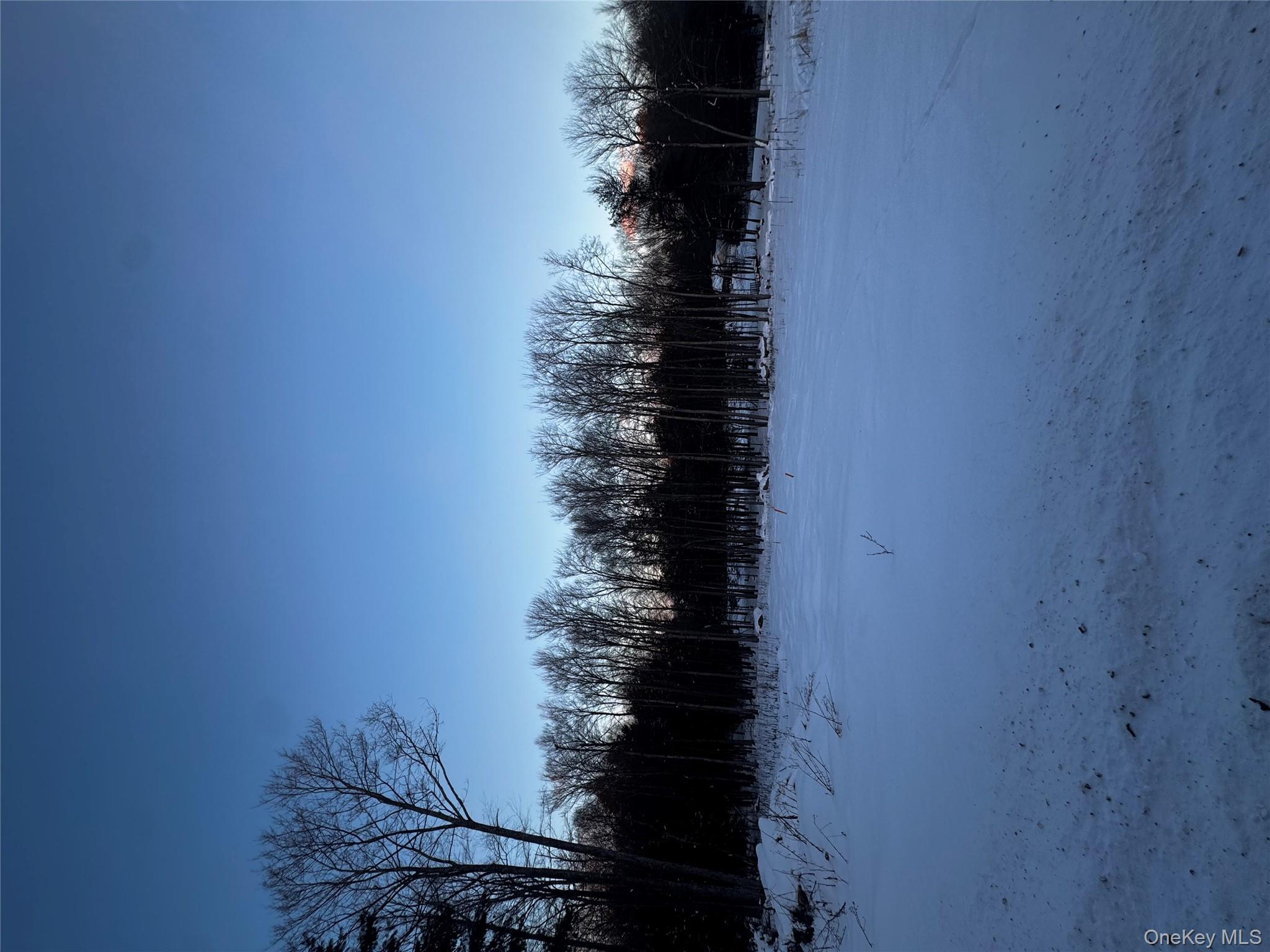 Homes for sale in Neversink, NY | 000 Drake Rd, Neversink, NY 12765 | MLS# 954690