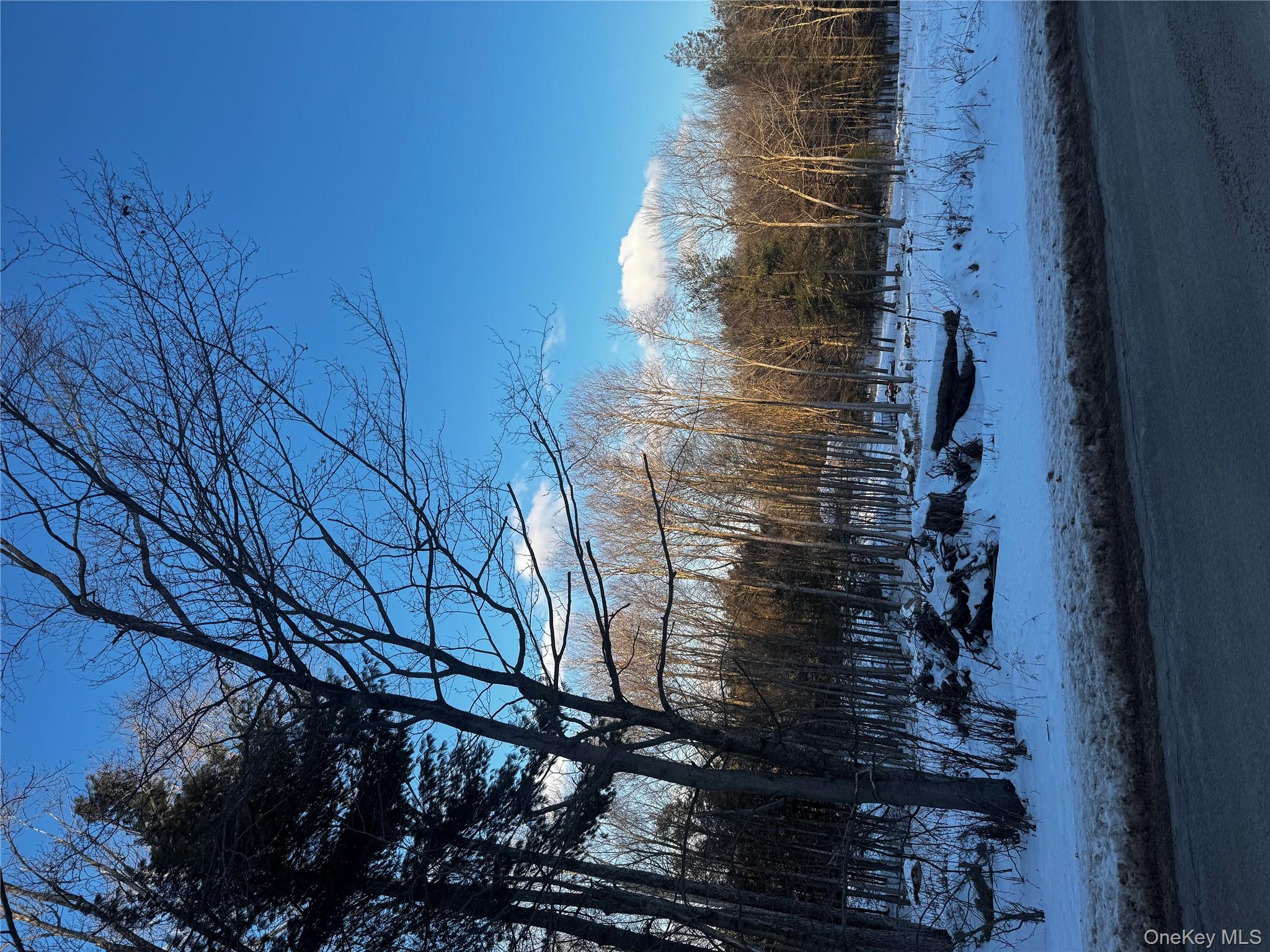 Homes for sale in Neversink, NY | 000 Drake Rd, Neversink, NY 12765 | MLS# 954690