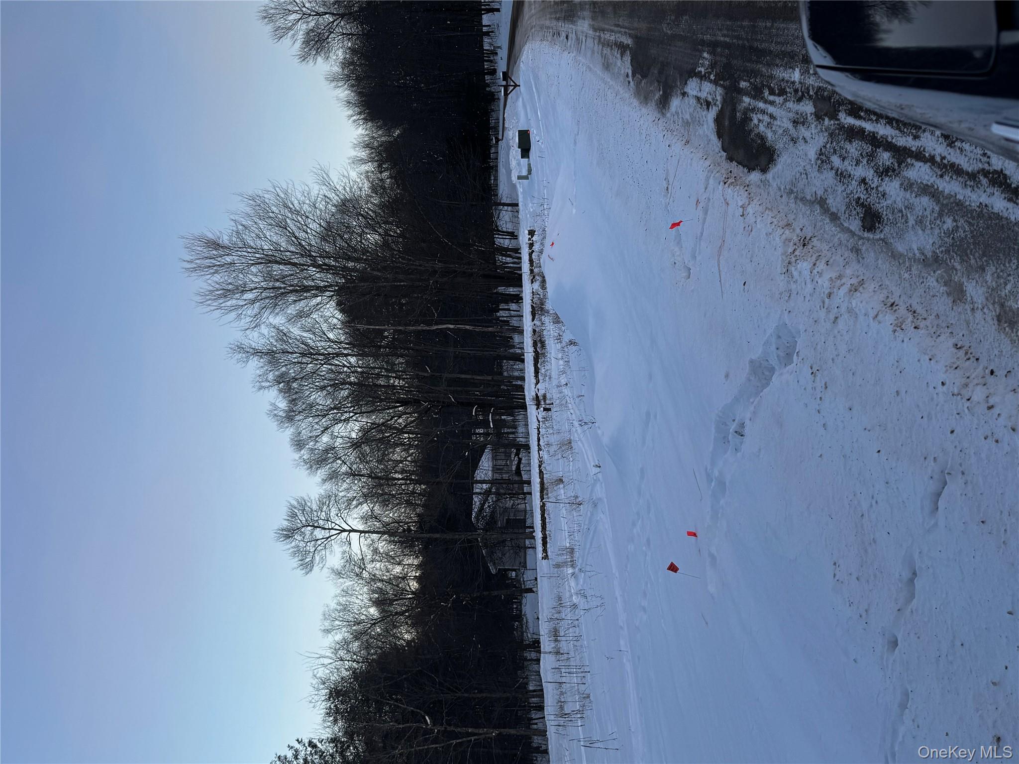 Homes for sale in Neversink, NY | 000 Drake Rd, Neversink, NY 12765 | MLS# 954690