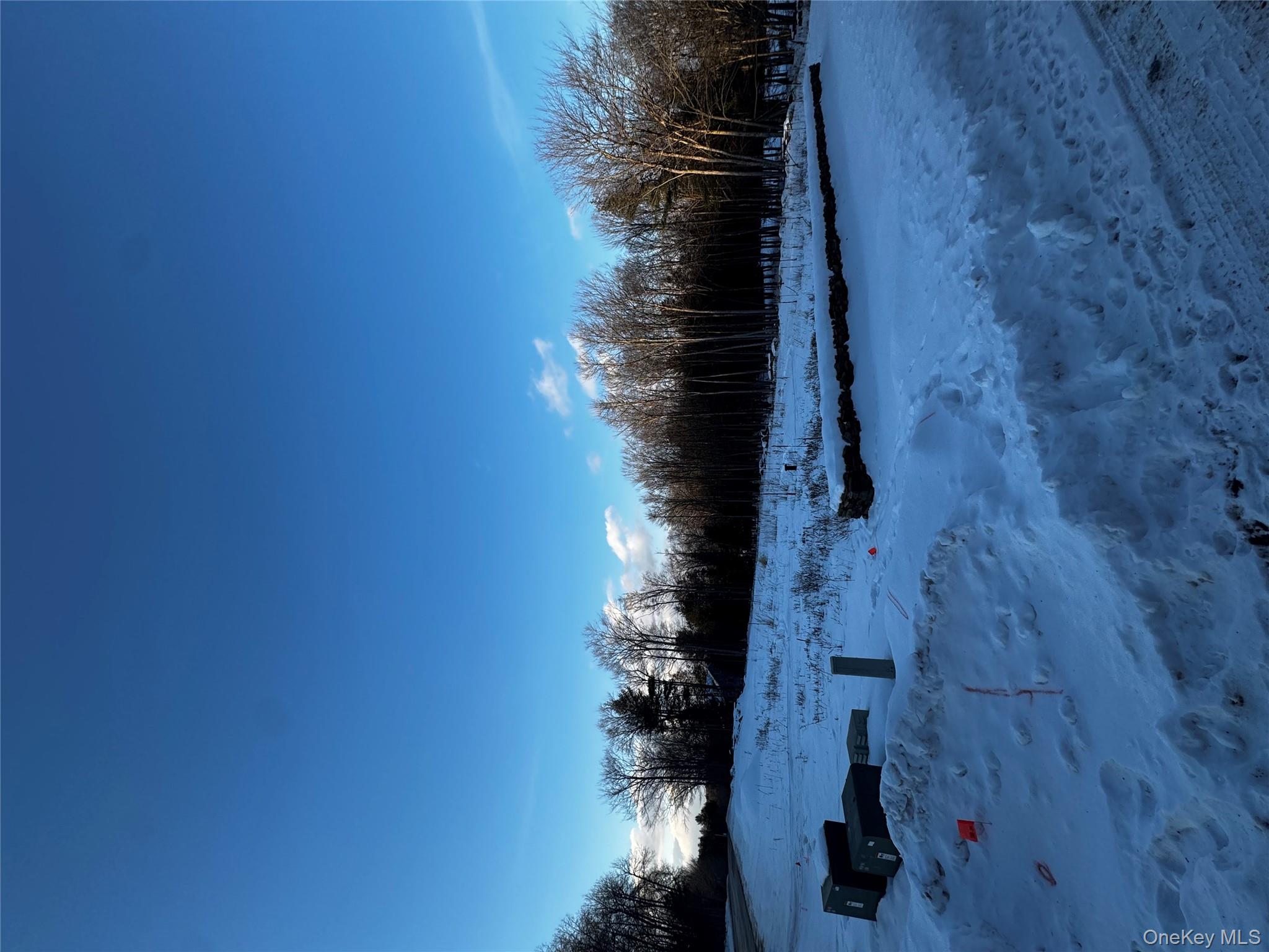 Homes for sale in Neversink, NY | 000 Drake Rd, Neversink, NY 12765 | MLS# 954690