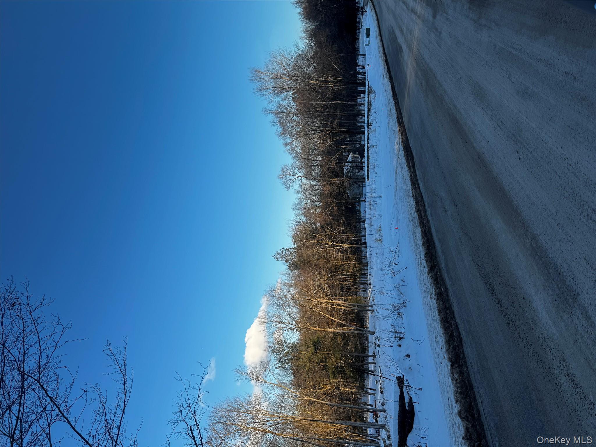 Homes for sale in Neversink, NY | 000 Drake Rd, Neversink, NY 12765 | MLS# 954690