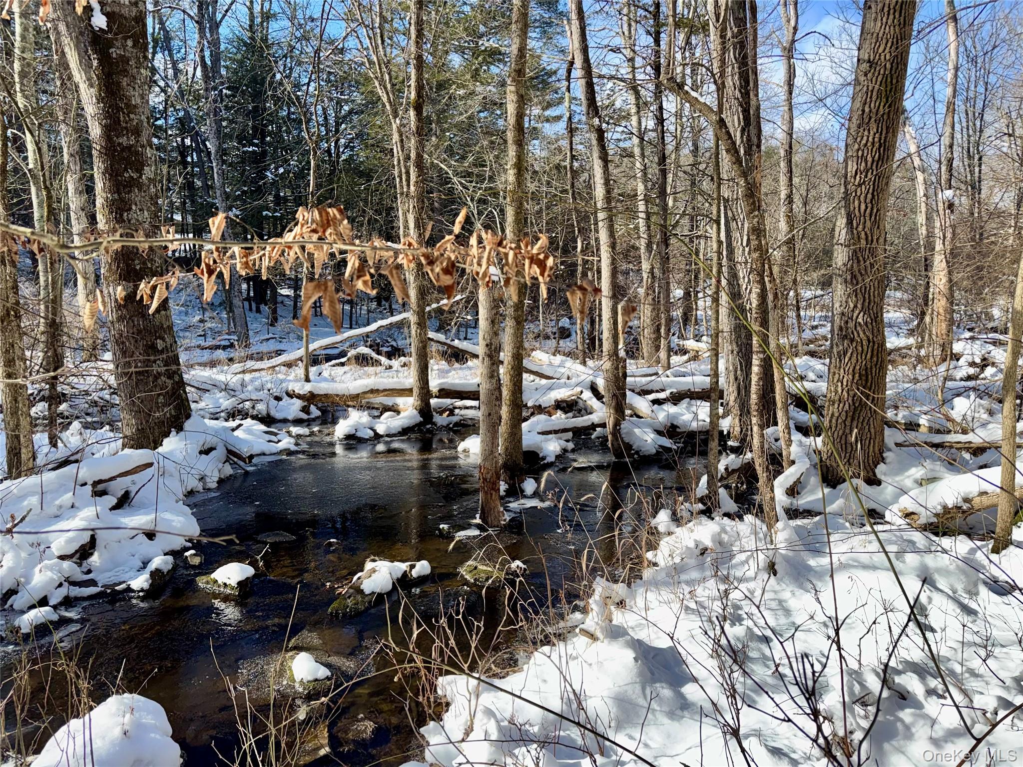 Homes for sale in Coxsackie, NY | 40 Potic Creek Rd, Coxsackie, NY 12051 | MLS# 954851