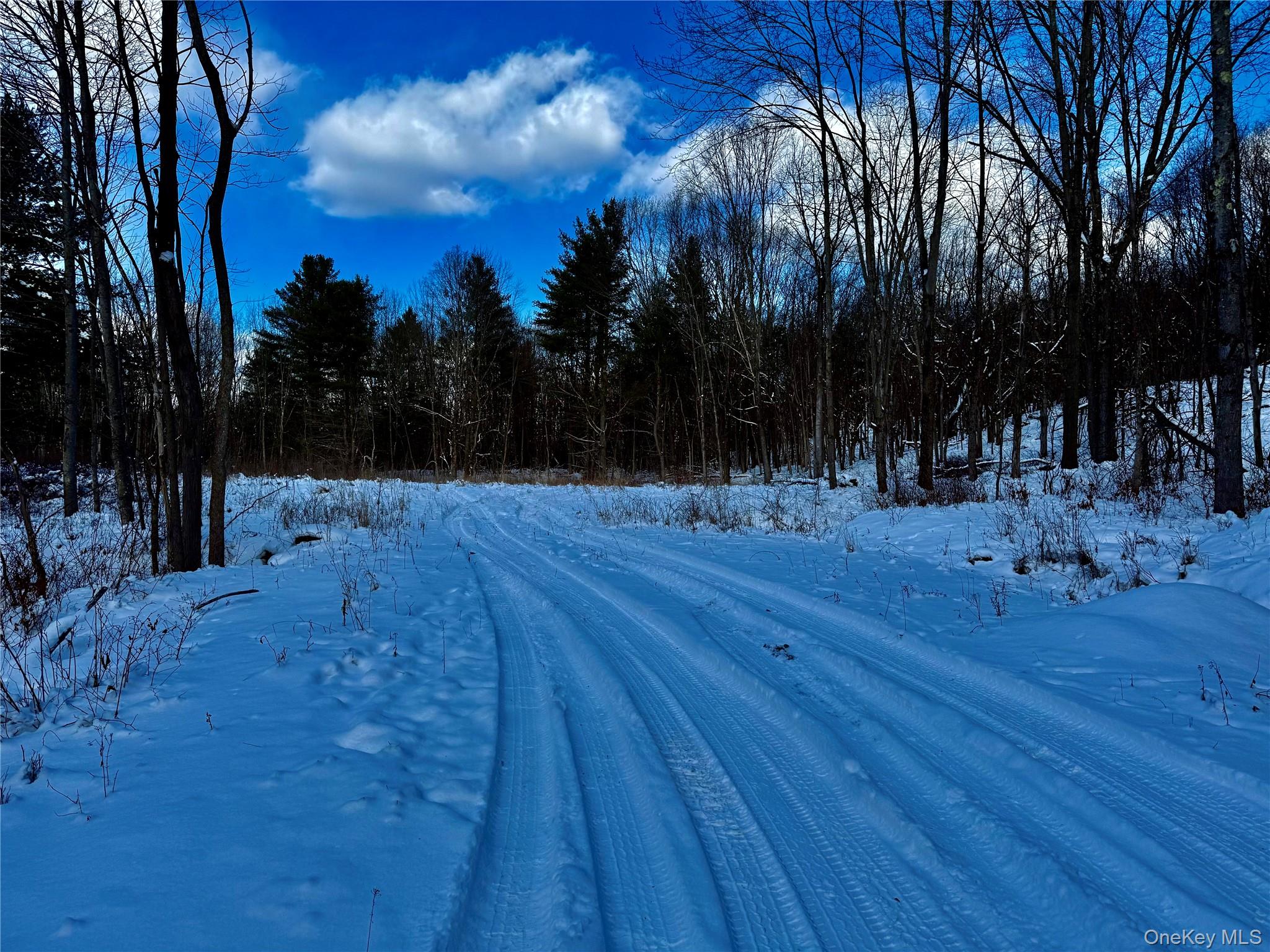 Homes for sale in Chatham, NY | 266 Pitts Rd, Chatham, NY 12136 | MLS# 954860