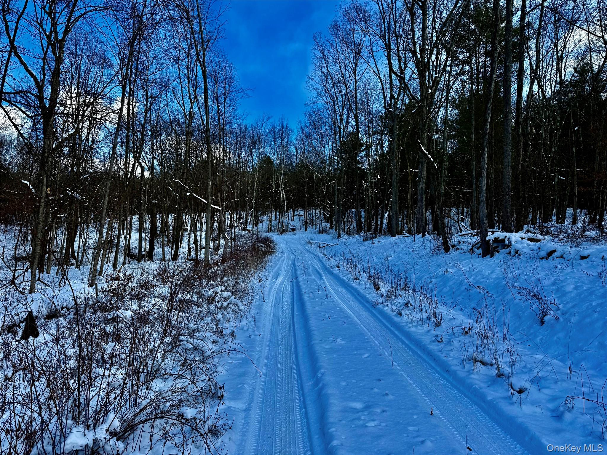 Homes for sale in Chatham, NY | 266 Pitts Rd, Chatham, NY 12136 | MLS# 954860