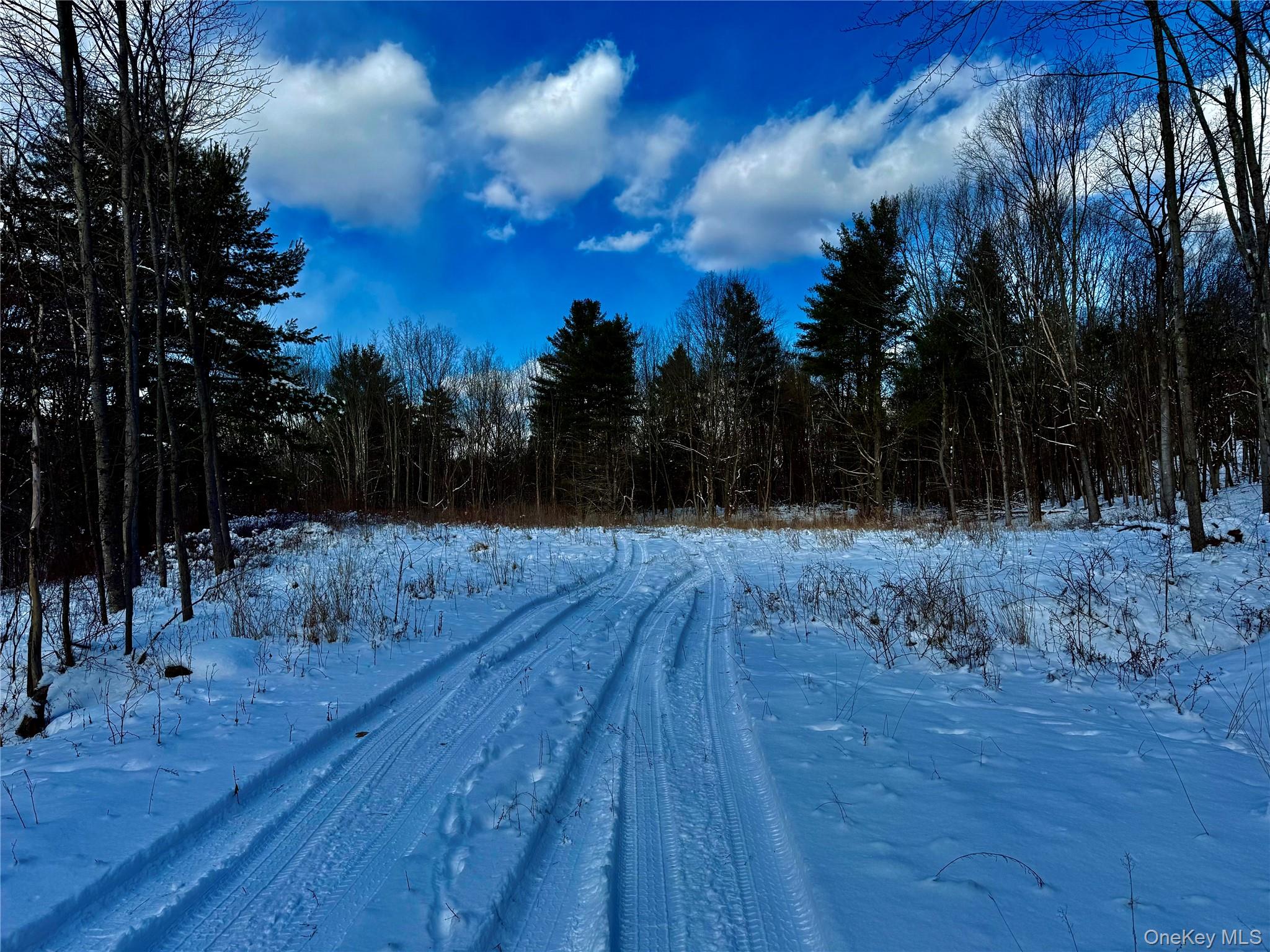 Homes for sale in Chatham, NY | 266 Pitts Rd, Chatham, NY 12136 | MLS# 954860