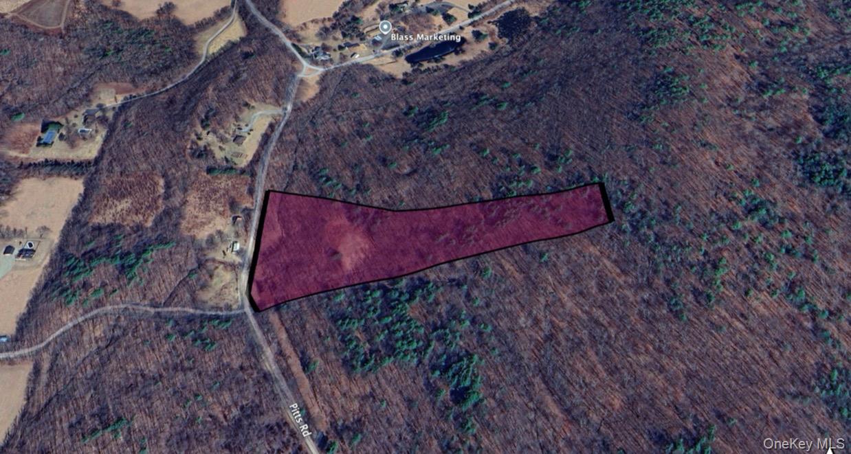 Homes for sale in Chatham, NY | 266 Pitts Rd, Chatham, NY 12136 | MLS# 954860