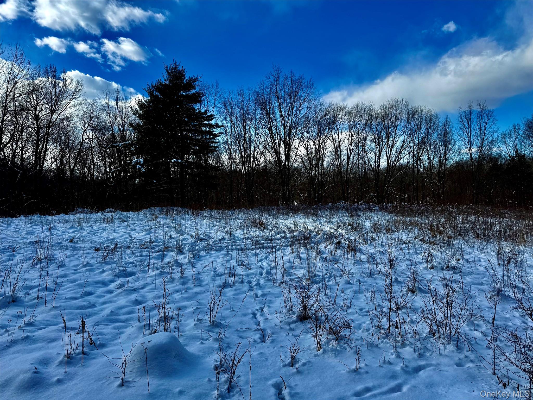 Homes for sale in Chatham, NY | 266 Pitts Rd, Chatham, NY 12136 | MLS# 954860