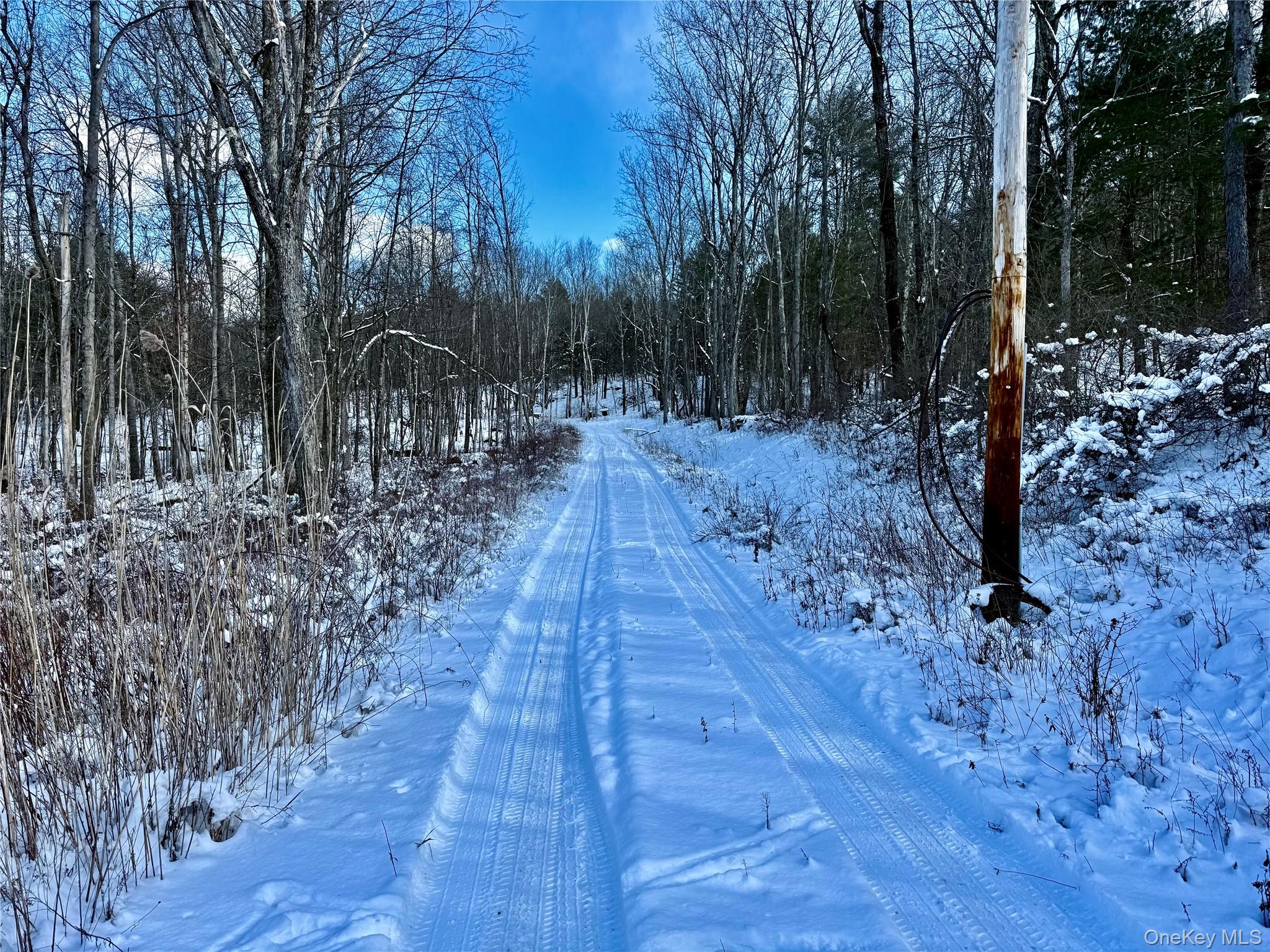 Homes for sale in Chatham, NY | 266 Pitts Rd, Chatham, NY 12136 | MLS# 954860