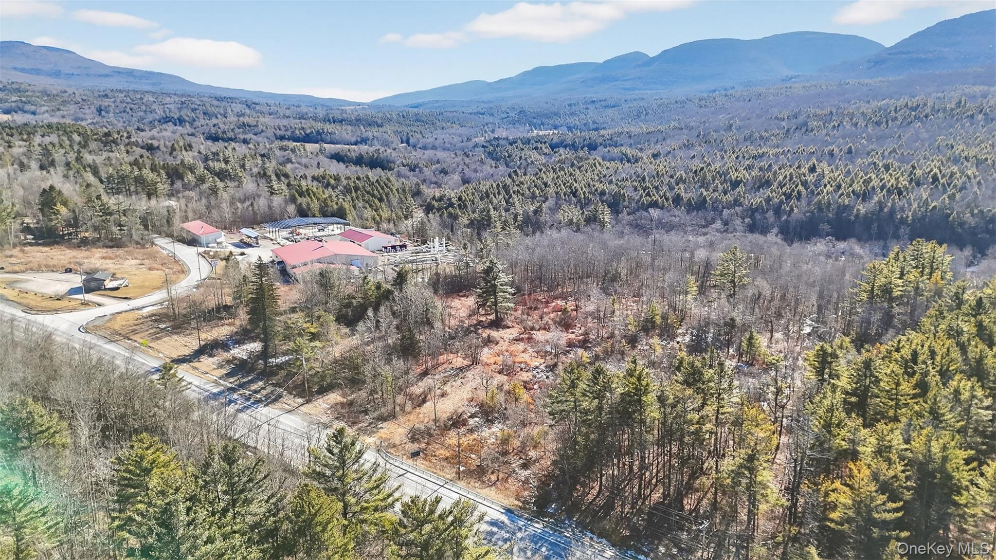 Homes for sale in Hunter, NY | 6769 Rt-23A, Hunter, NY 12442 | MLS# 955106