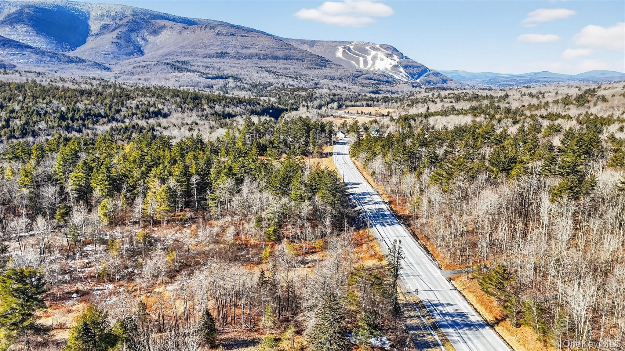 Homes for sale in Hunter, NY | 6769 Rt 23a, Hunter, NY 12442 | MLS# 955106