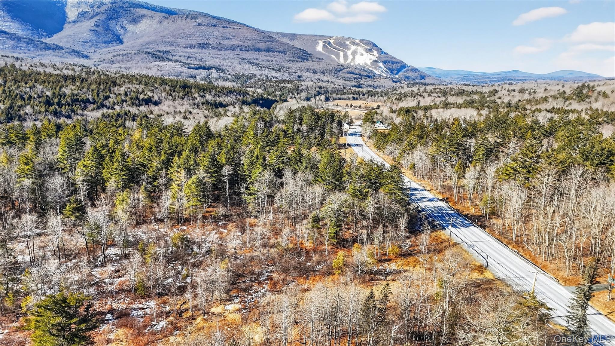 Homes for sale in Hunter, NY | 6769 Rt 23a, Hunter, NY 12442 | MLS# 955106