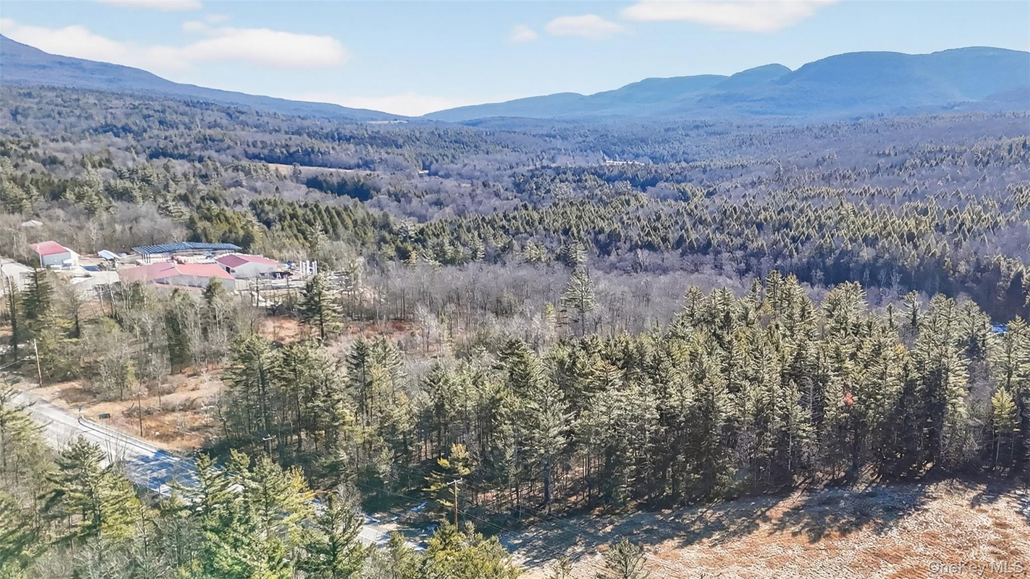 Homes for sale in Hunter, NY | 6769 Rt-23A, Hunter, NY 12442 | MLS# 955106