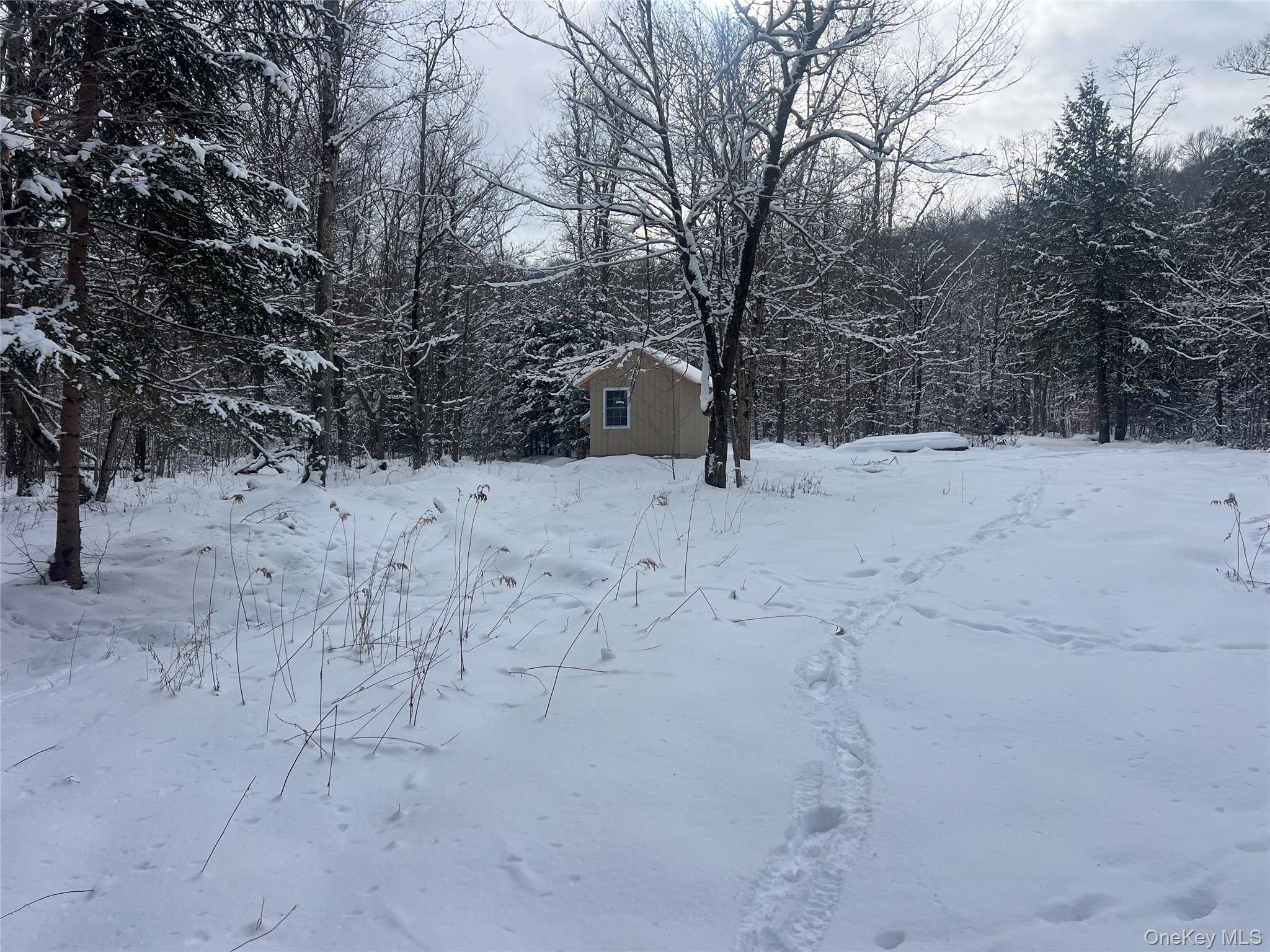 Homes for sale in Hancock, NY | Methol Rd, Hancock, NY 13783 | MLS# 955283