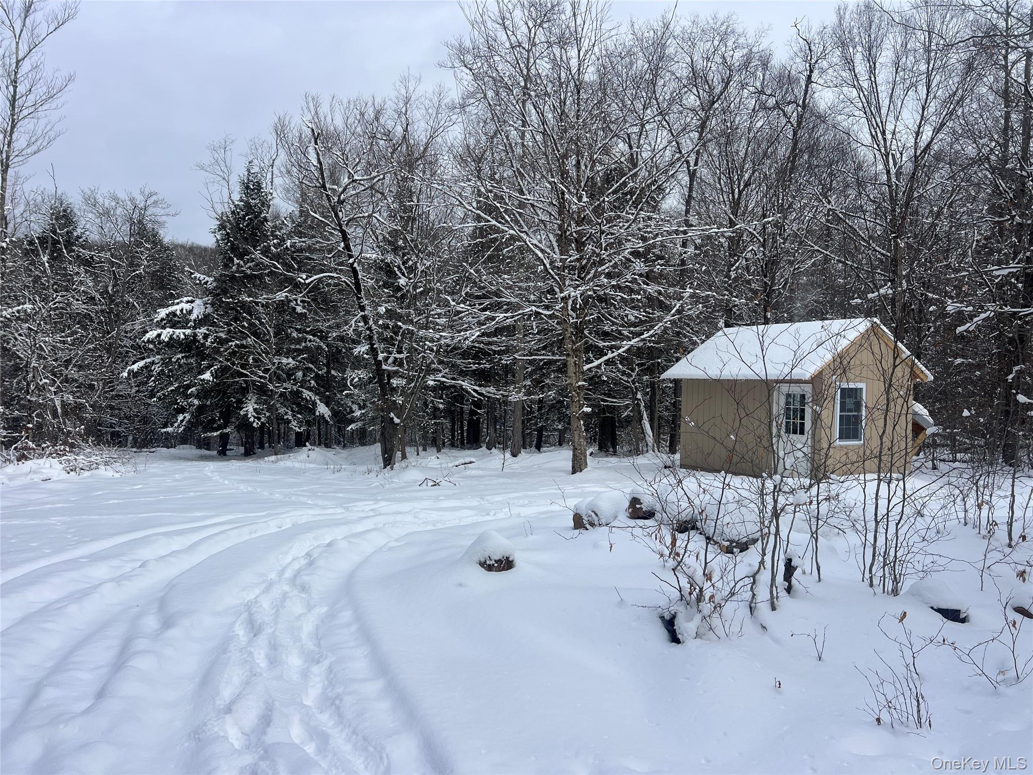 Homes for sale in Hancock, NY | Methol Rd, Hancock, NY 13783 | MLS# 955283