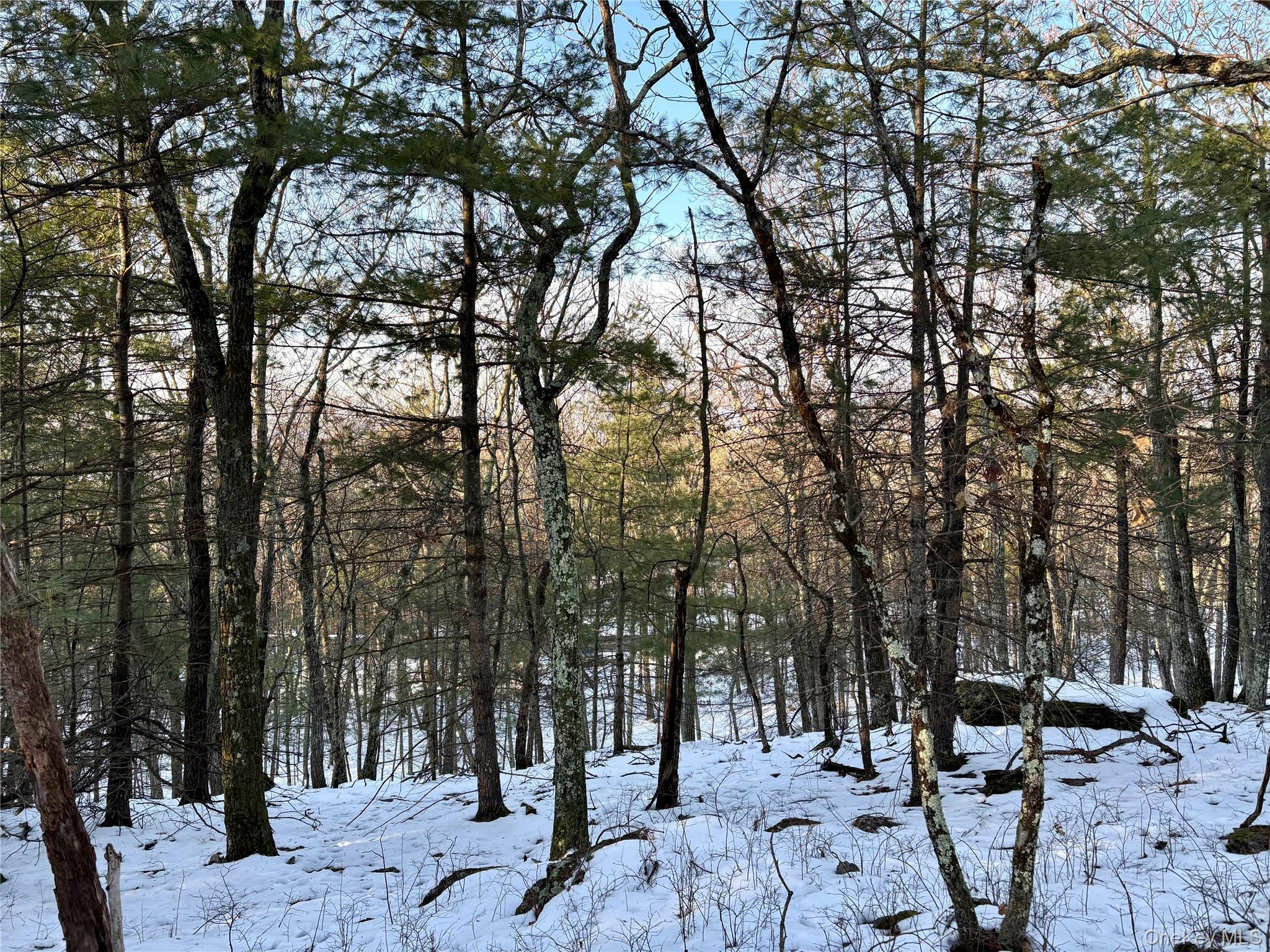 Homes for sale in Hurley, NY | Route 28a, Hurley, NY 12443 | MLS# 955340