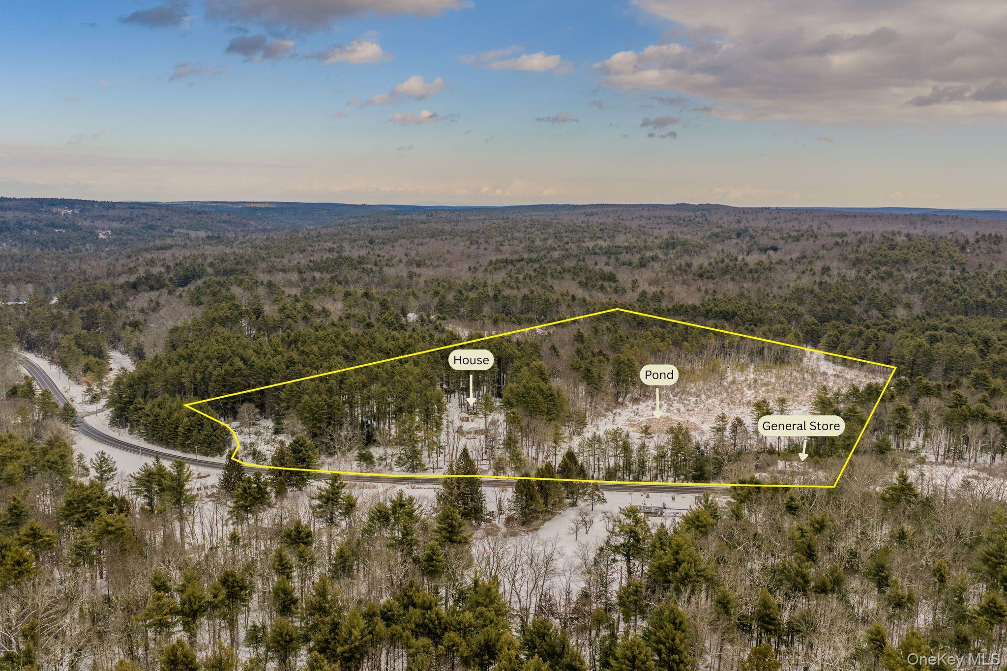 Homes for sale in Deerpark, NY | 1124 State Route 42, Deerpark, NY 12780 | MLS# 955399