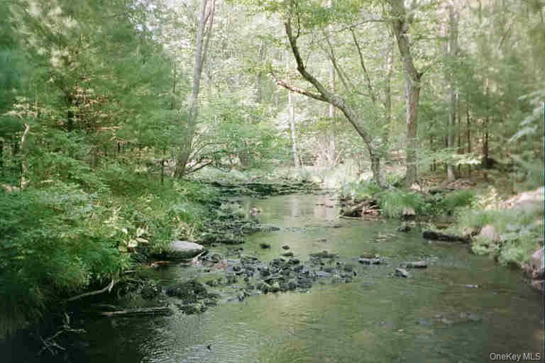 Homes for sale in Lumberland, NY | Lot 592 Lower Lumber Rd, Lumberland, NY 12737 | MLS# 955574