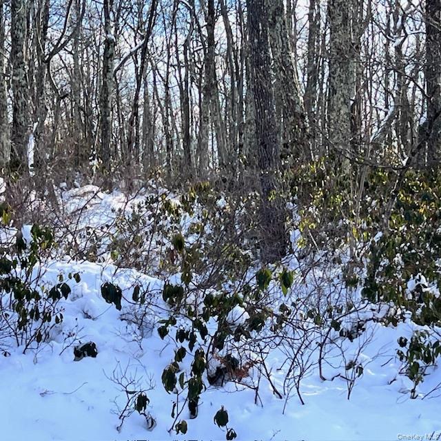 Homes for sale in Mamakating, NY | Budd Rd, Mamakating, NY 12790 | MLS# 955594