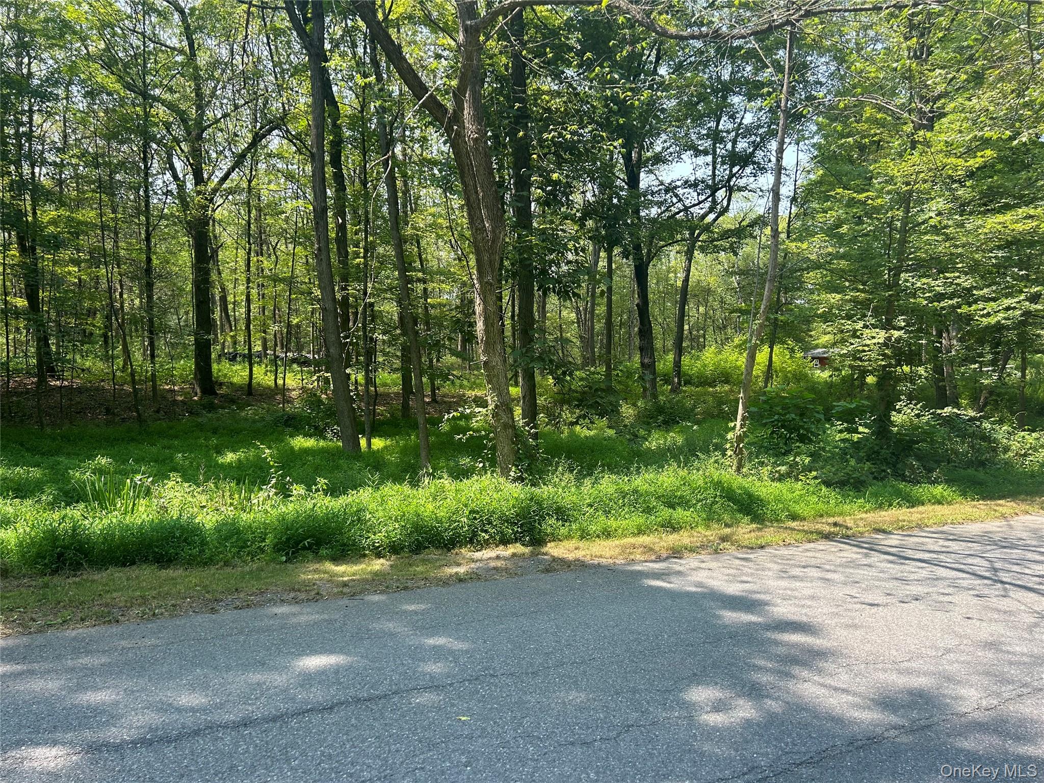 Homes for sale in Rhinebeck, NY | White Schoolhouse Rd, Rhinebeck, NY 12572 | MLS# 955800