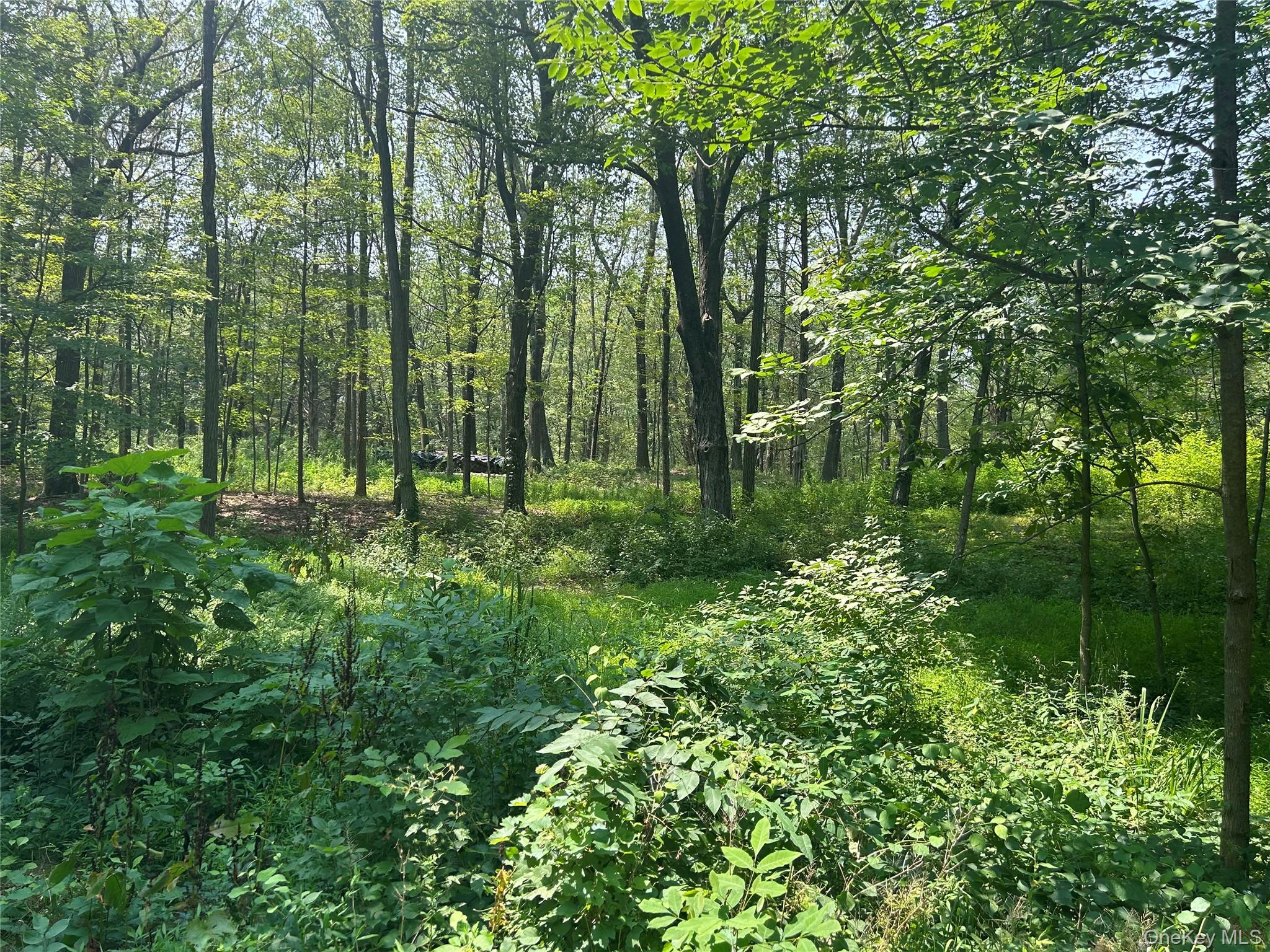 Homes for sale in Rhinebeck, NY | White Schoolhouse Rd, Rhinebeck, NY 12572 | MLS# 955800