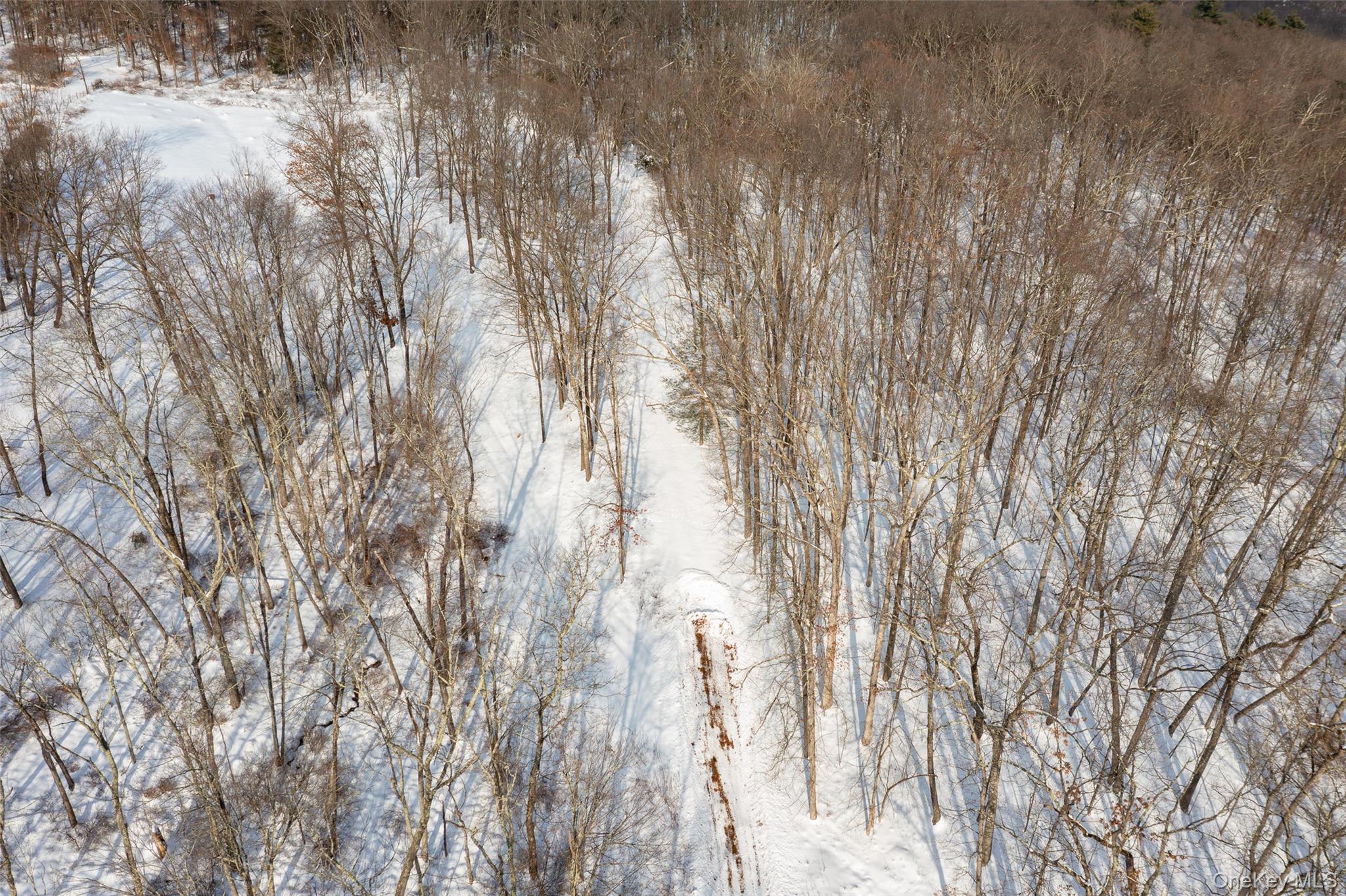 Homes for sale in Clermont, NY | 207 Pleasant Vale, Clermont, NY 12583 | MLS# 955852