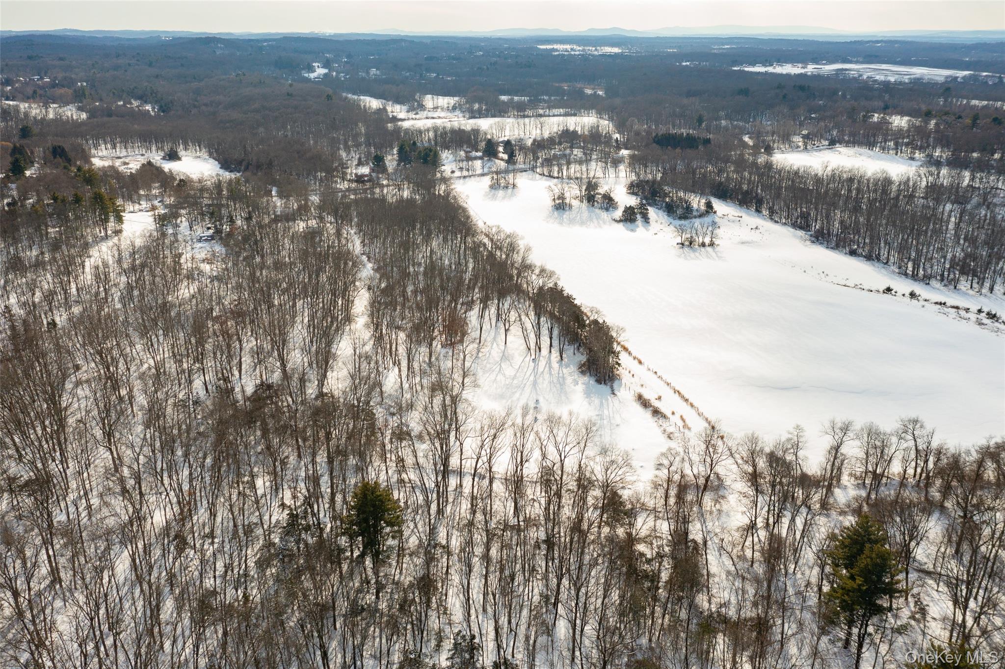 Homes for sale in Clermont, NY | 207 Pleasant Vale, Clermont, NY 12583 | MLS# 955852