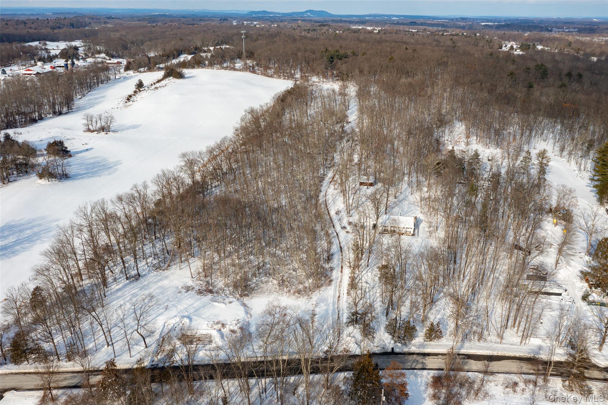 Homes for sale in Clermont, NY | 207 Pleasant Vale, Clermont, NY 12583 | MLS# 955852