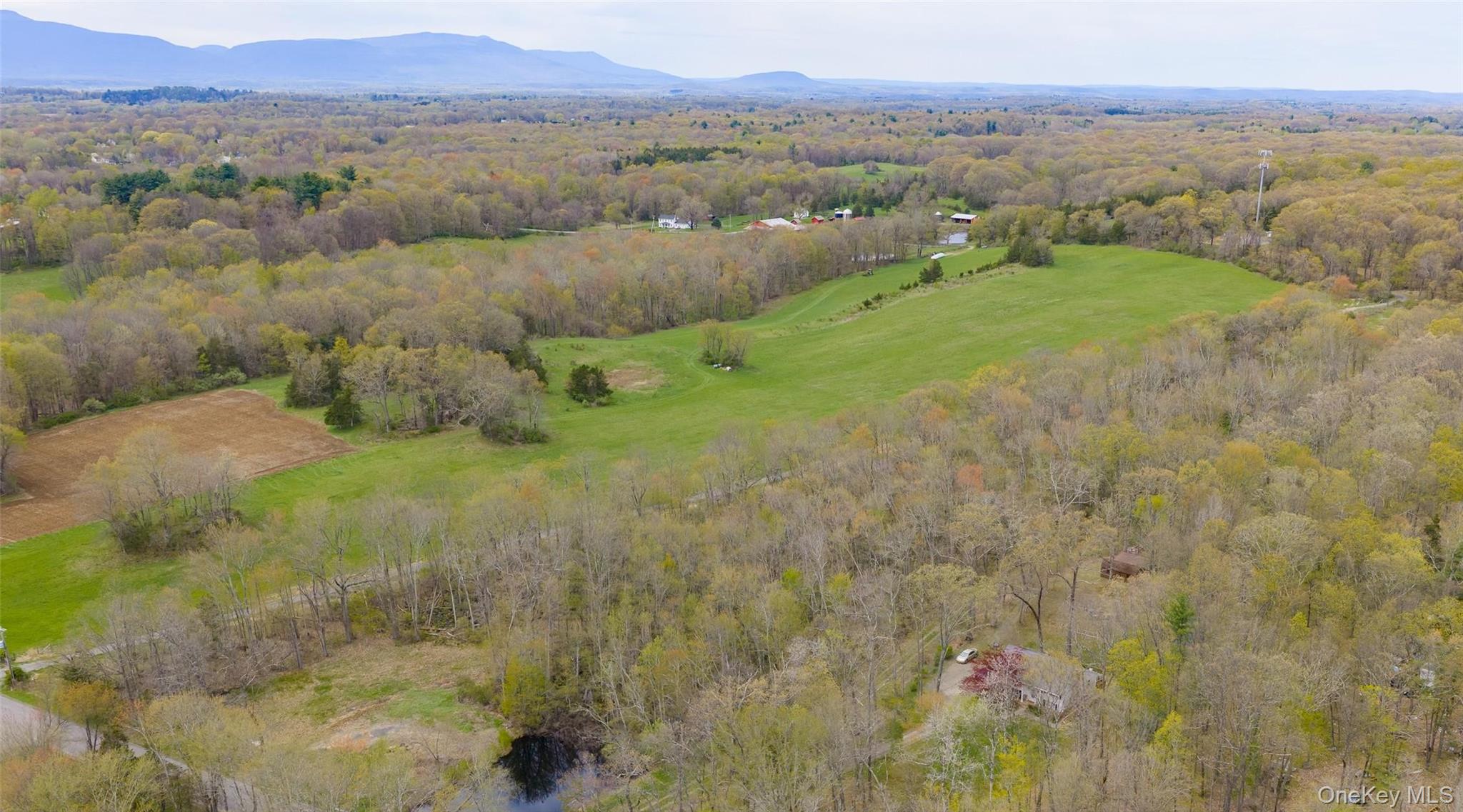 Homes for sale in Clermont, NY | 207 Pleasant Vale, Clermont, NY 12583 | MLS# 955852