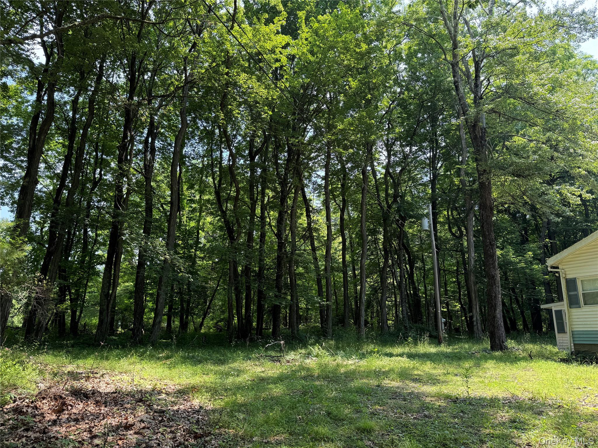 Homes for sale in Greenville, NY | 40 Huntington Dr, Greenville, NY 12083 | MLS# 959238