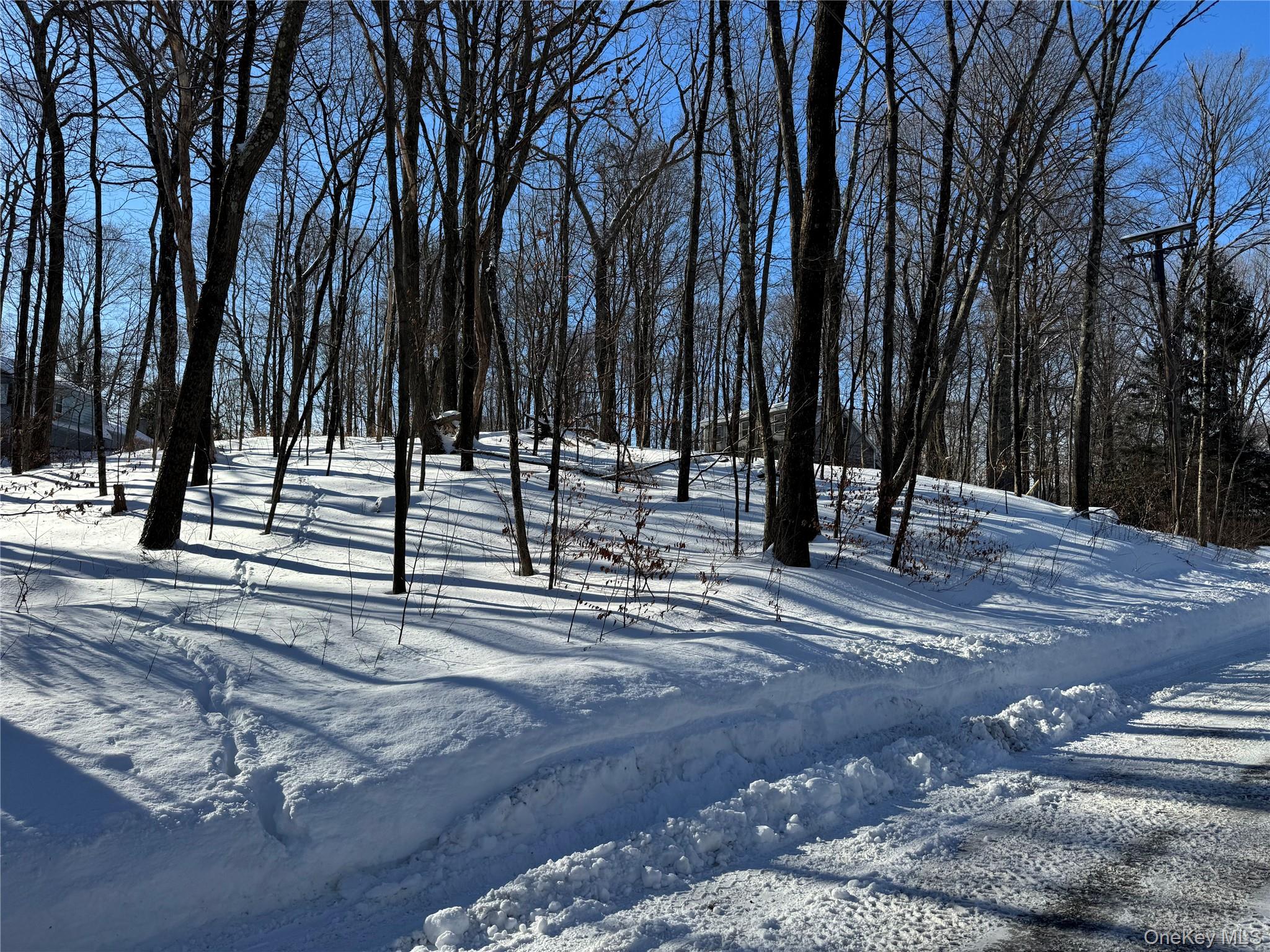 4th image of Lakeview Dr, Dover, NY 12564 | MLS# 962482