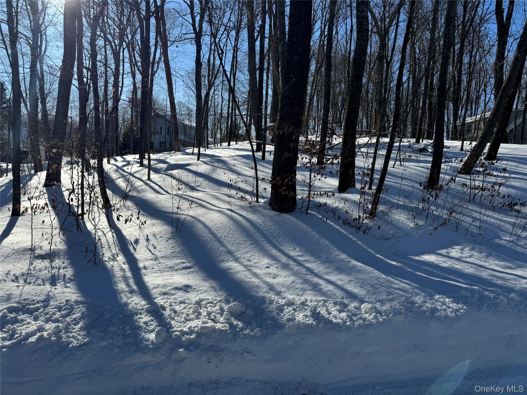 5th image of Lakeview Dr, Dover, NY 12564 | MLS# 962482