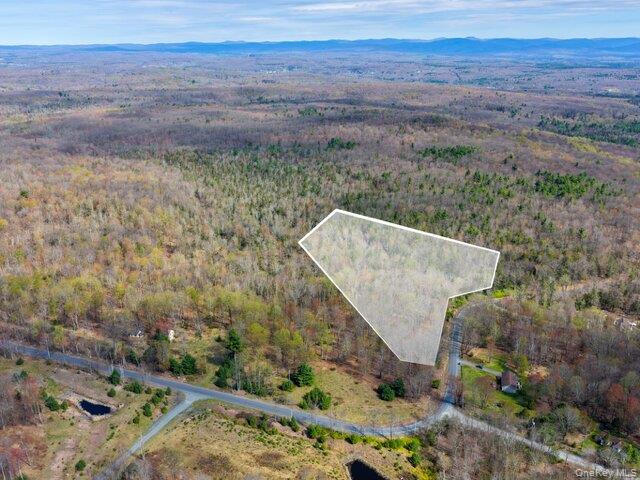 Homes for sale in Fallsburg, NY | Taylor Rd, Fallsburg, NY 12733 | MLS# 964708