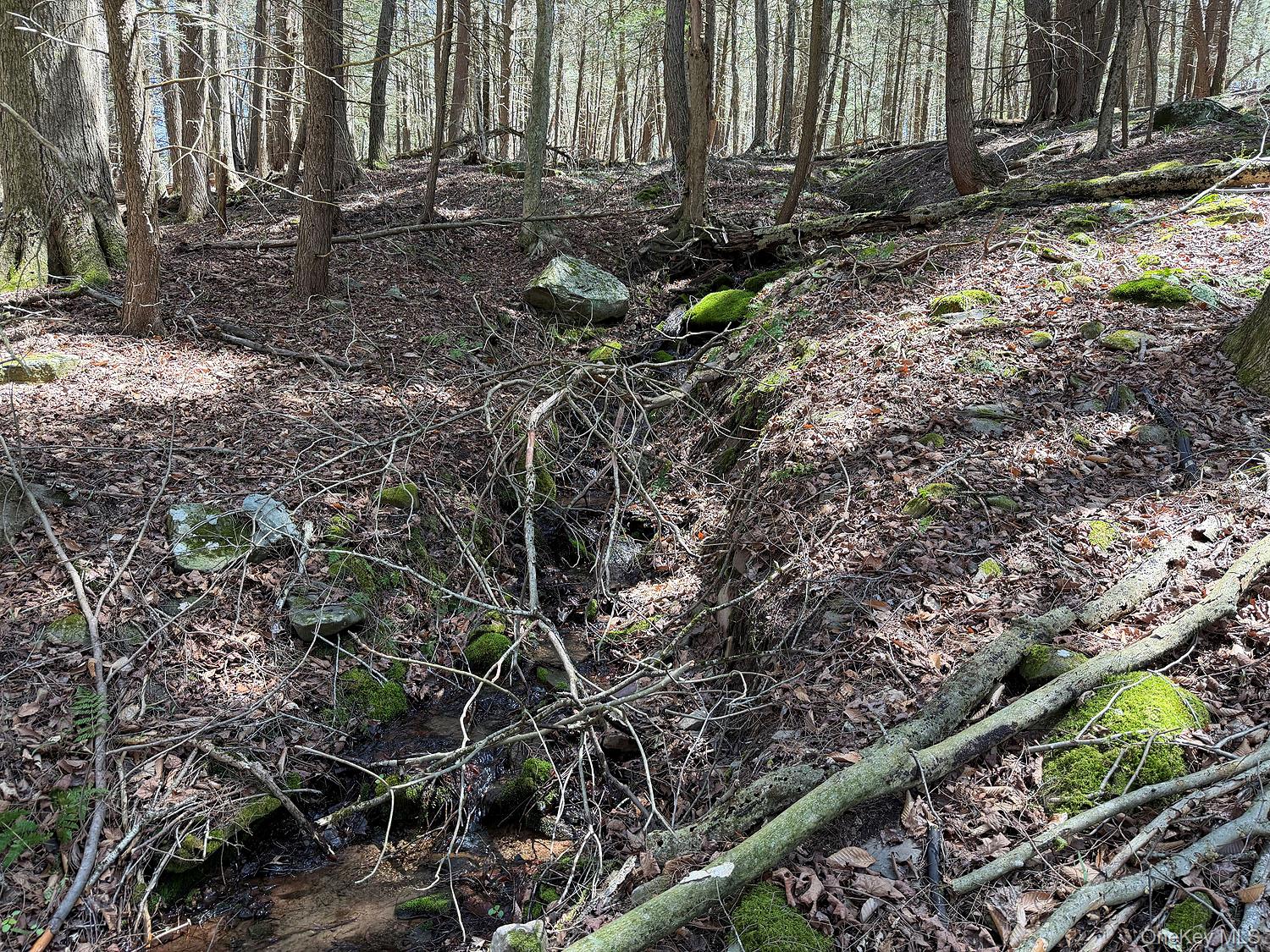 Photo 30 of Land for sale at Hubert Rd, Callicoon, NY 12748 | MLS# 965702 | Listing updated on 2026-09-02