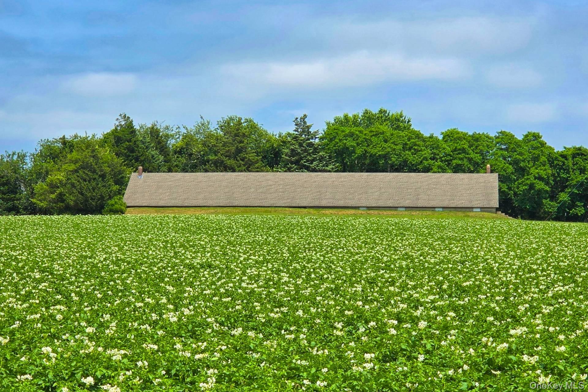 5th image of 731 Deerfield (Lot #4) Rd, Southampton, NY 11976 | MLS# 968433