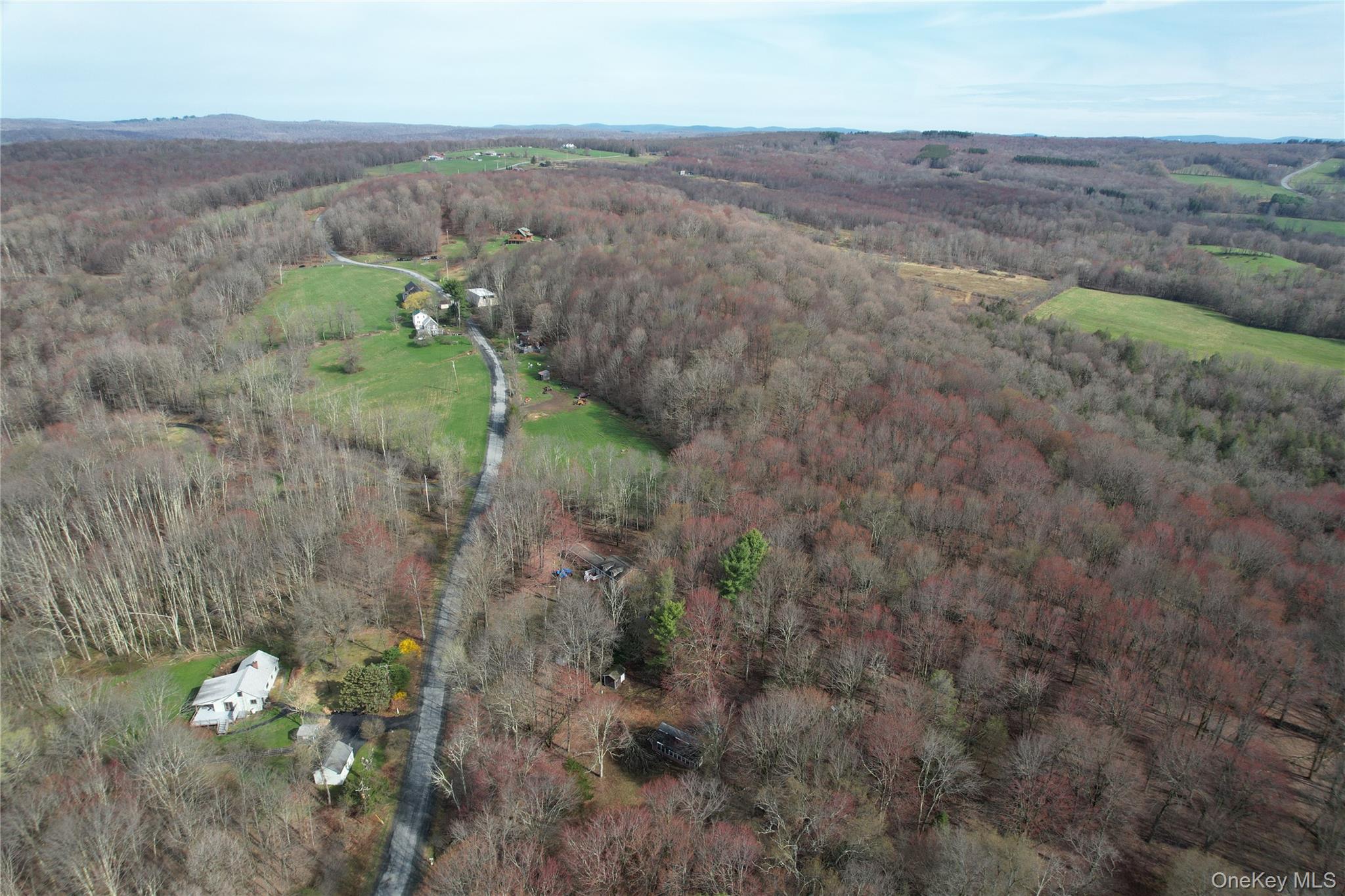 Homes for sale in Callicoon, NY | Tbd Stump Pond Rd, Callicoon, NY 12758 | MLS# 969311