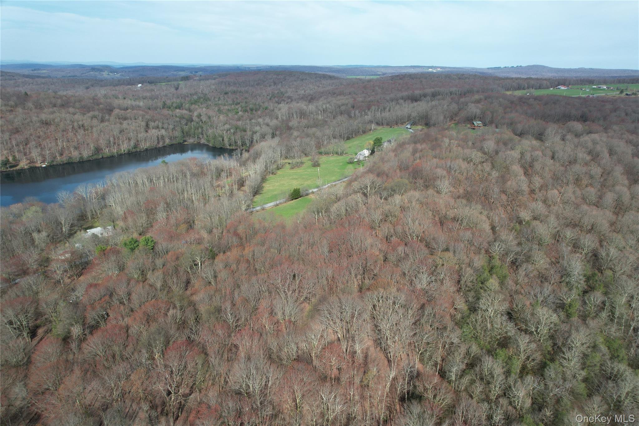 Homes for sale in Callicoon, NY | Tbd Stump Pond Rd, Callicoon, NY 12758 | MLS# 969311