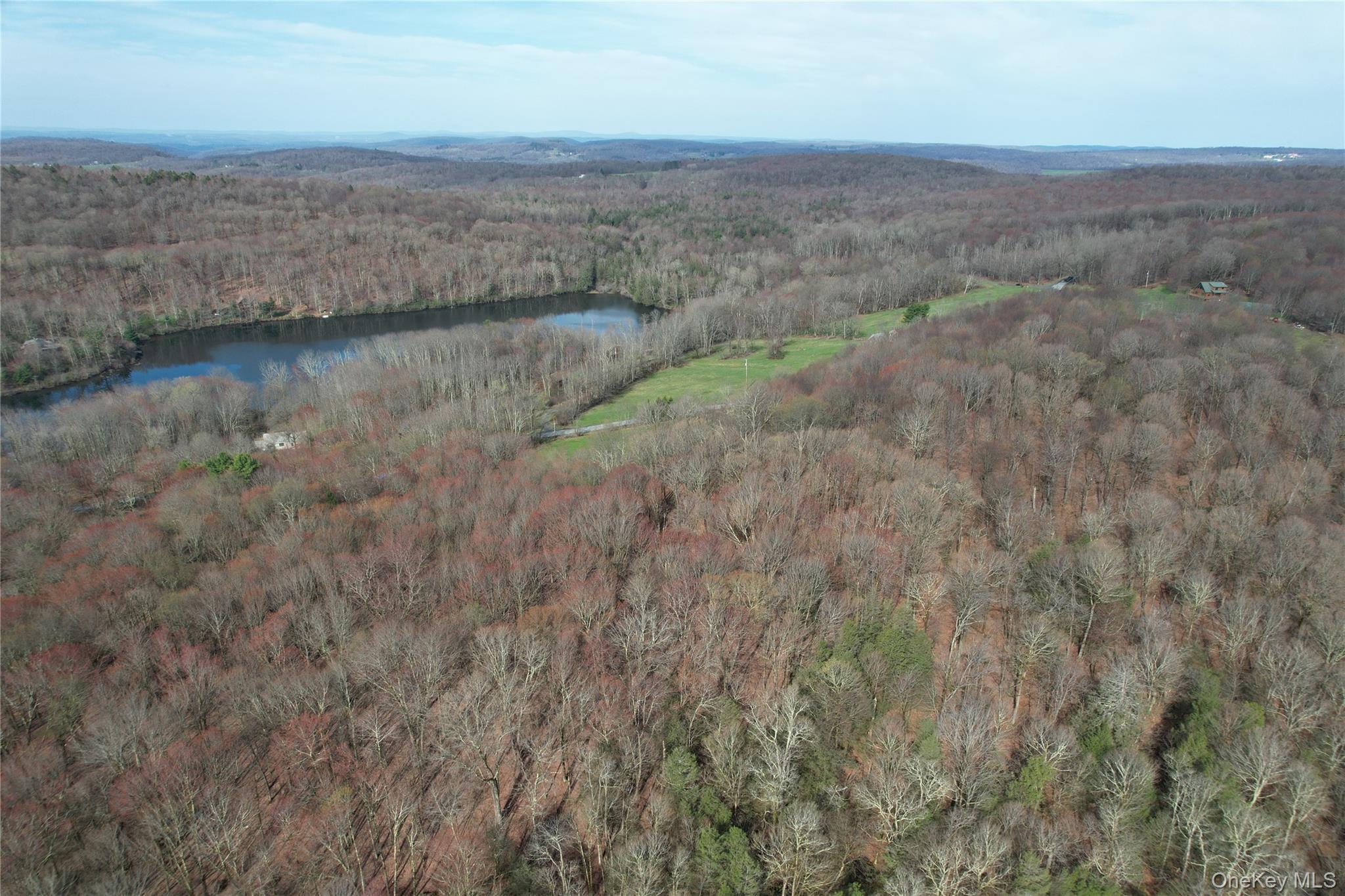 Homes for sale in Callicoon, NY | Tbd Stump Pond Rd, Callicoon, NY 12758 | MLS# 969311
