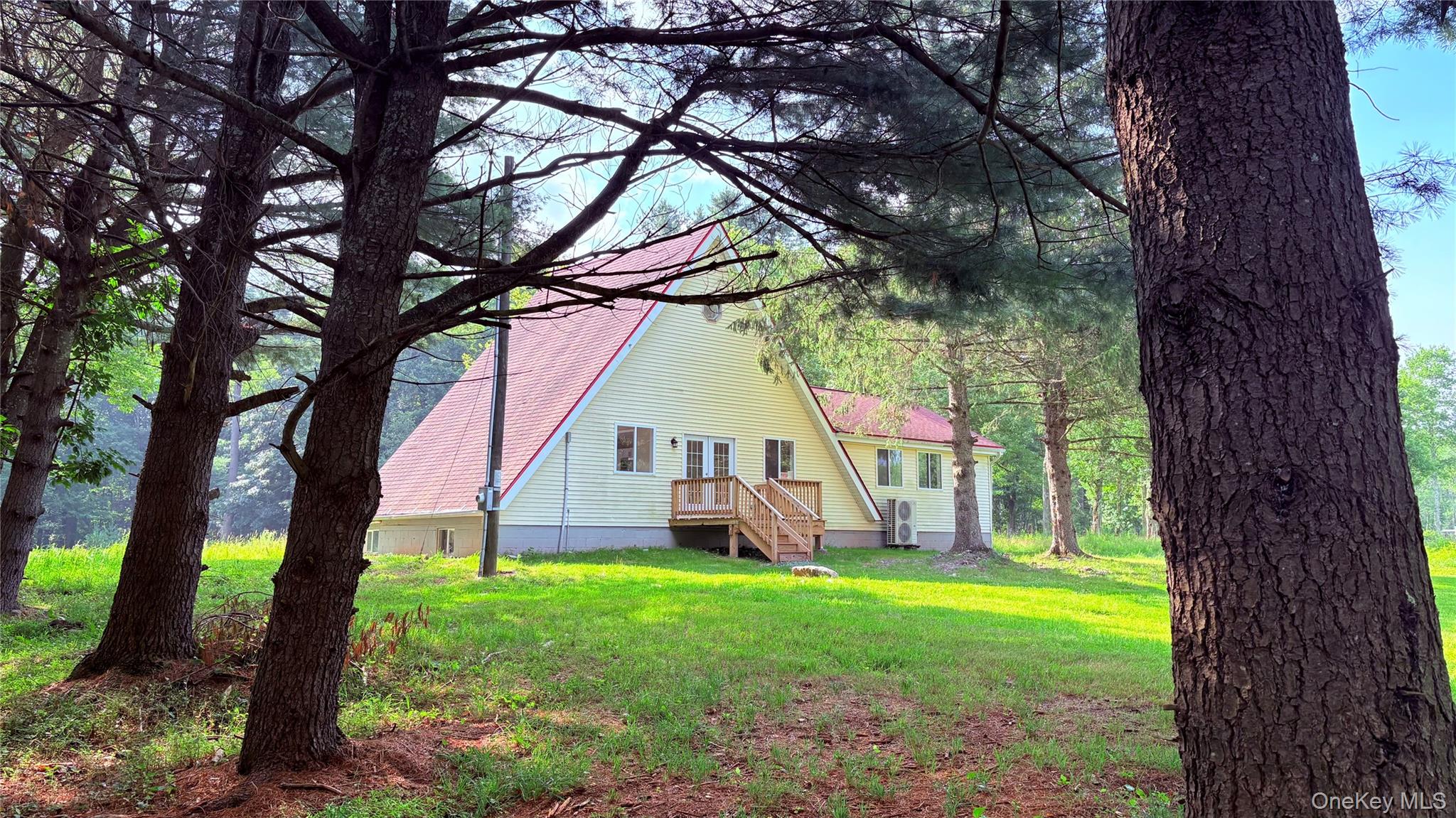 Homes for sale in Cochecton, NY | 107 Pinewood Rd, Cochecton, NY 12726 | MLS# 977877