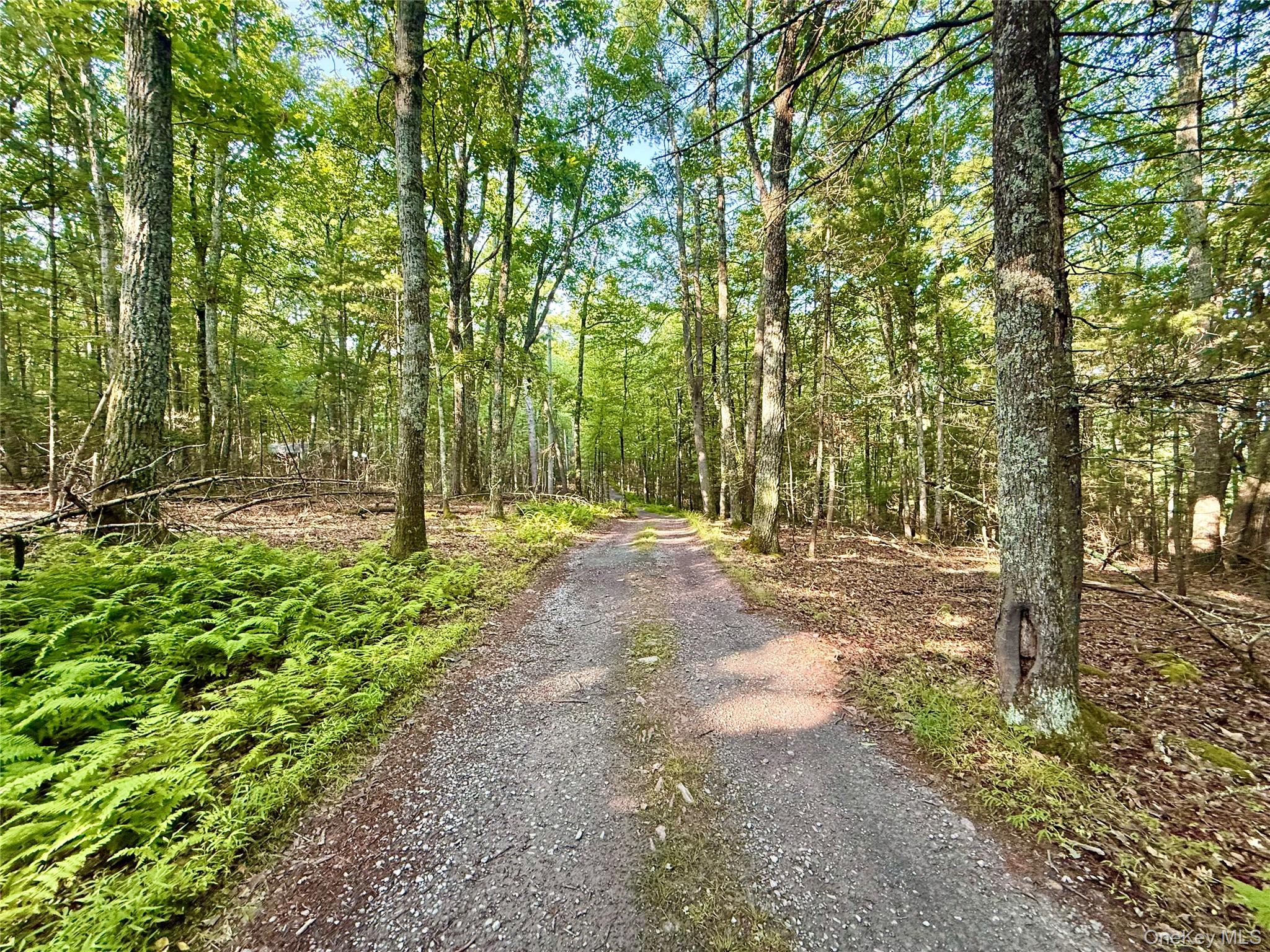 2nd image of Marko Dr, Highland, NY 12528 | MLS# 978761